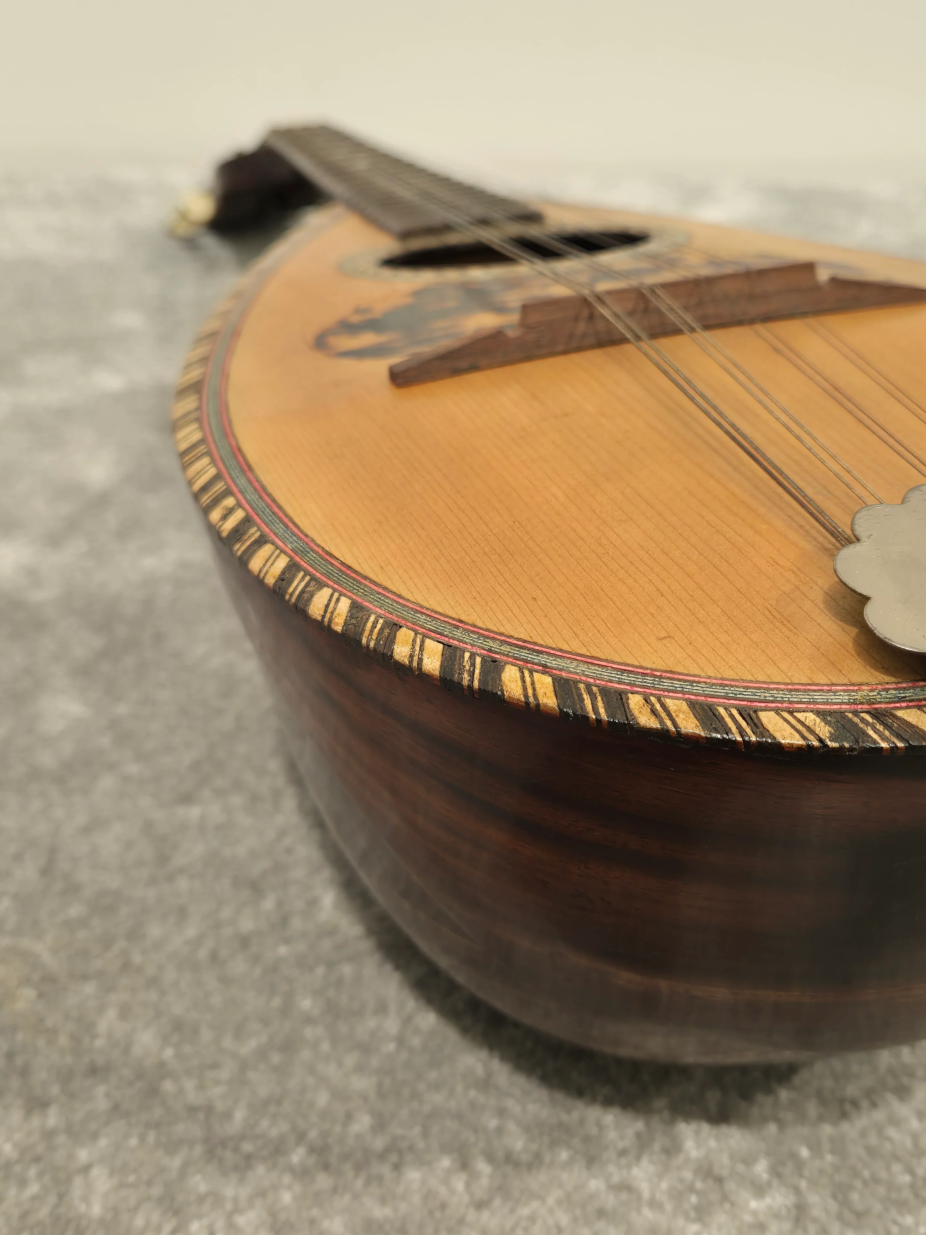 Alfredo Albertini No.65 - Bowl Back Mandolin w/ Hard Case - Image 12