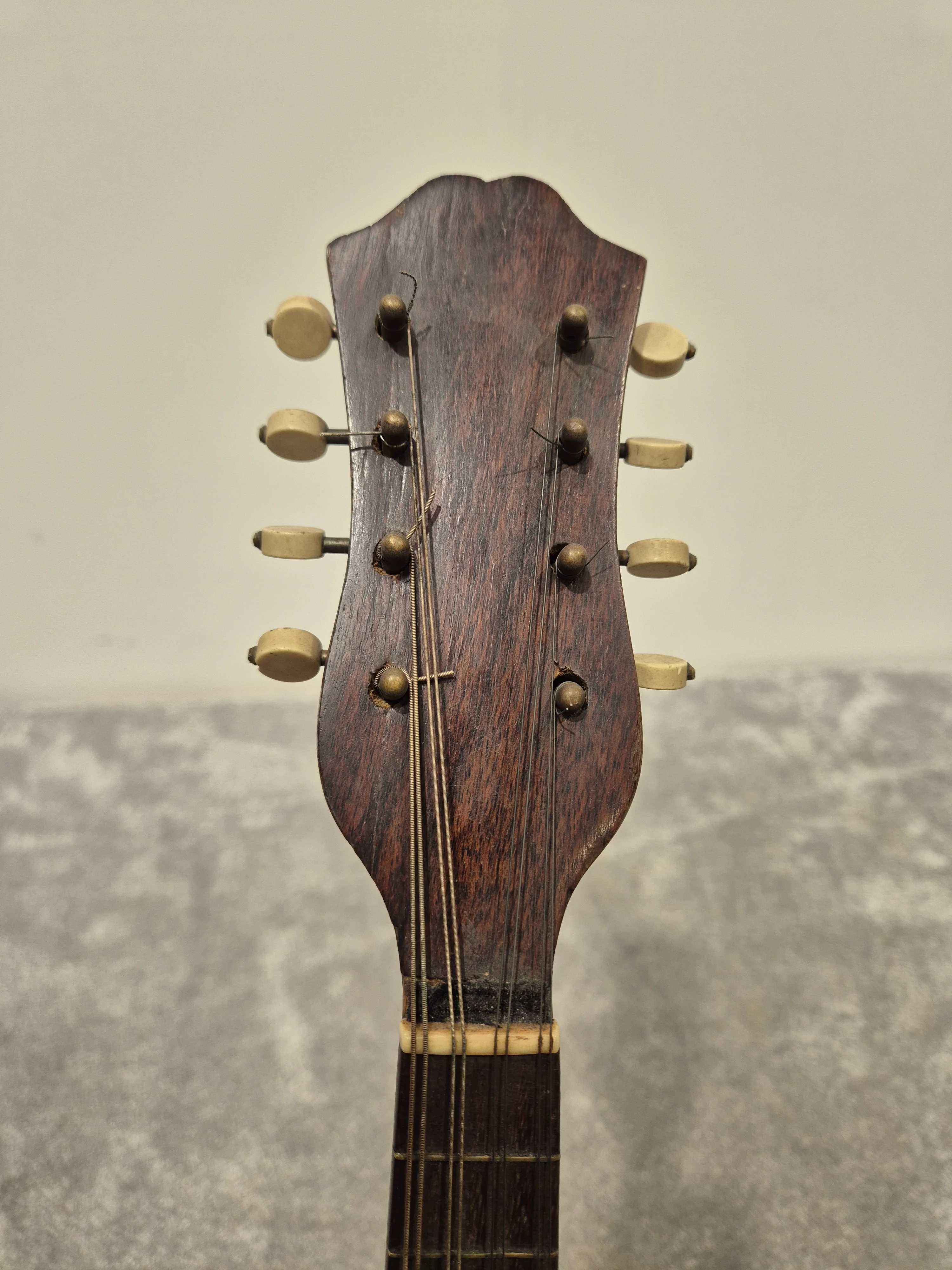 Alfredo Albertini No.65 - Bowl Back Mandolin w/ Hard Case - Image 6