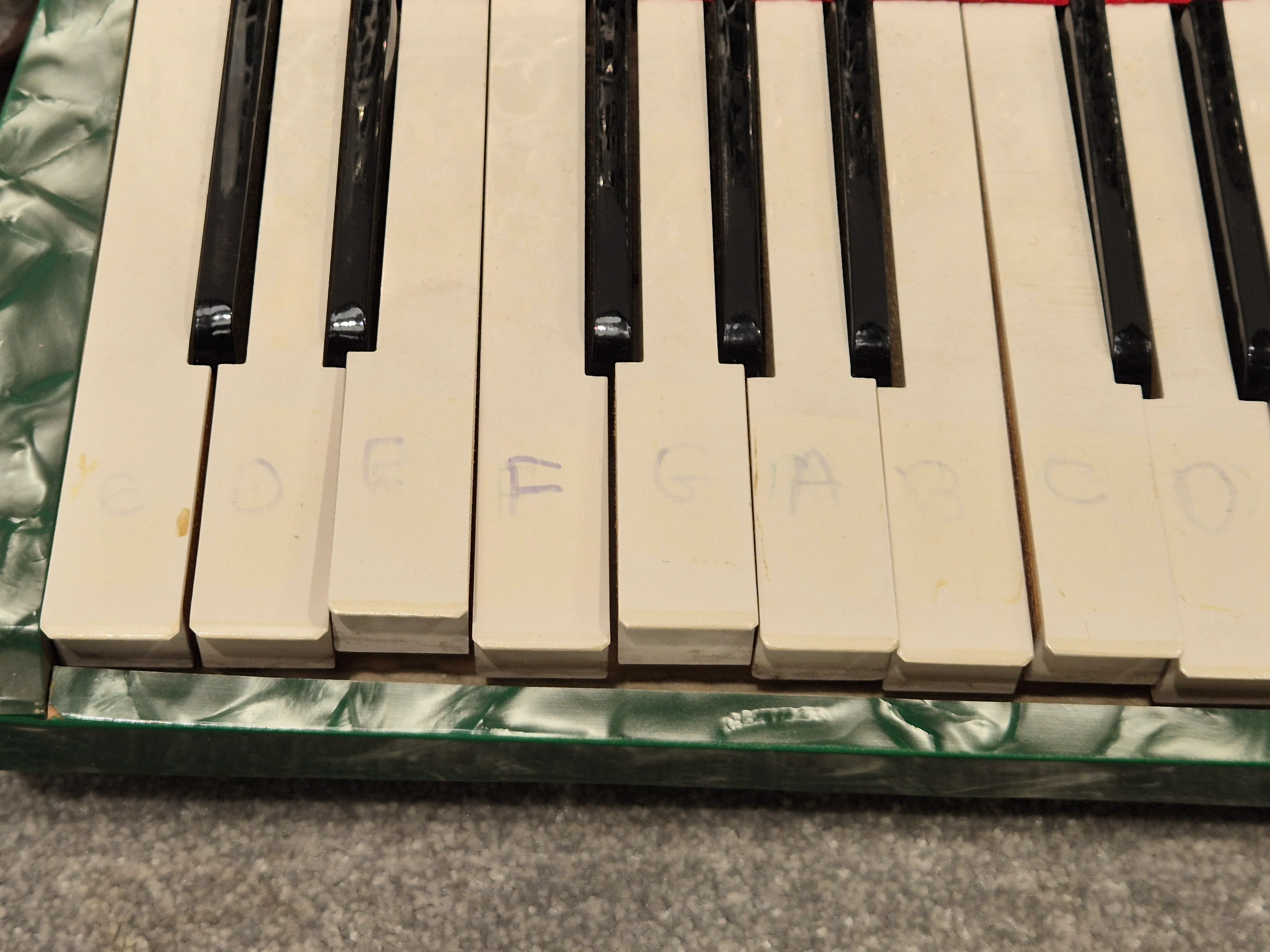 Alvari Accordion - 25-key Accordion w/ Hard Case - Image 6
