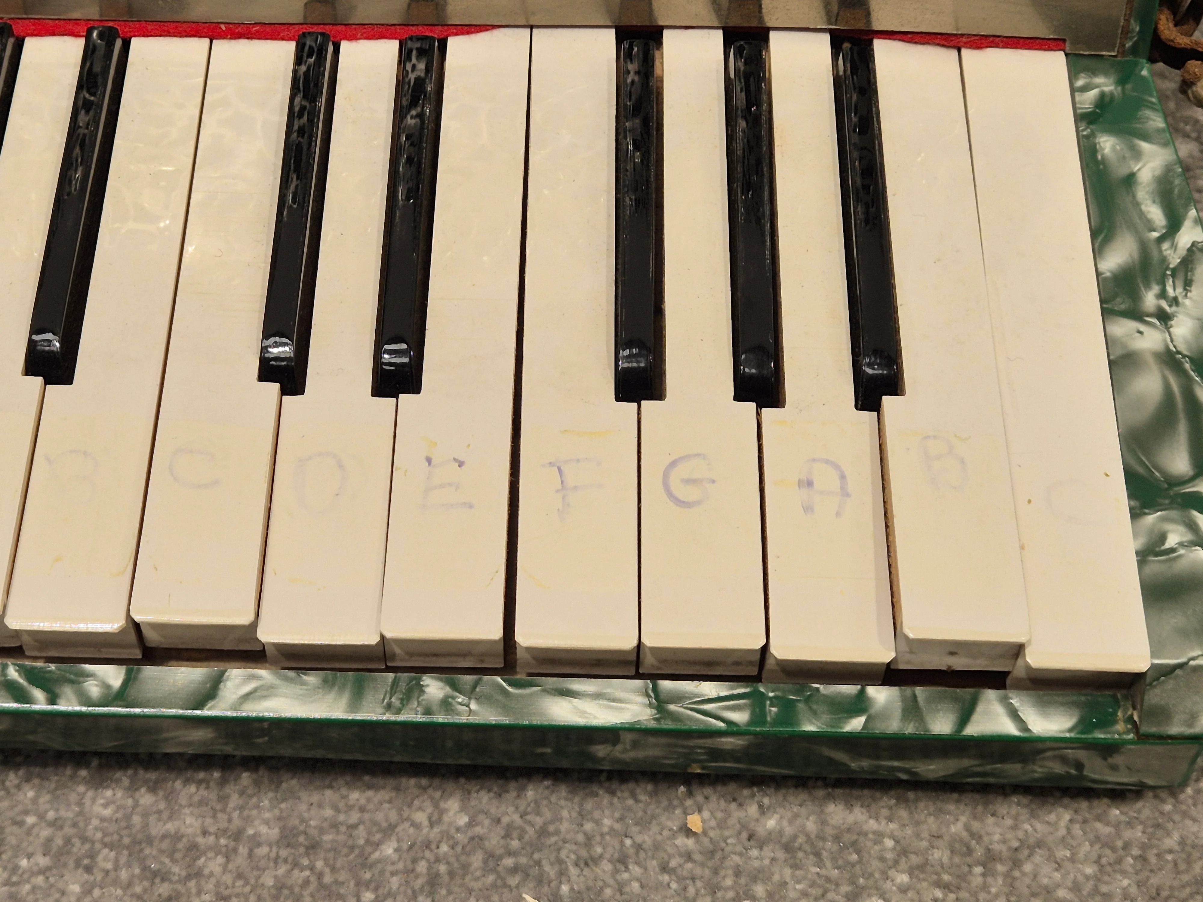 Alvari Accordion - 25-key Accordion w/ Hard Case - Image 7