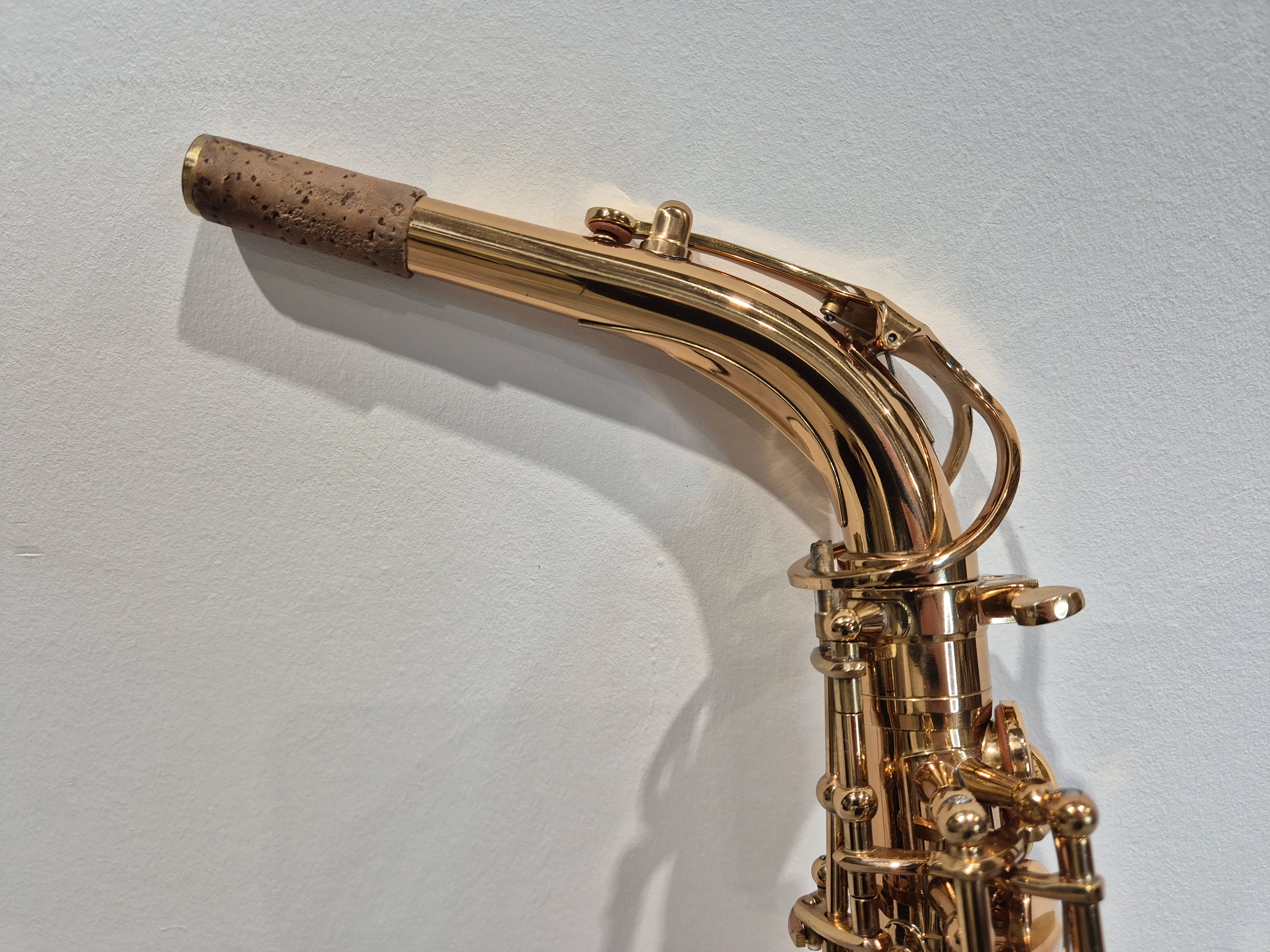Artemis by Trevor James A1 Alto Saxophone + Artemis Soft Case - Image 4