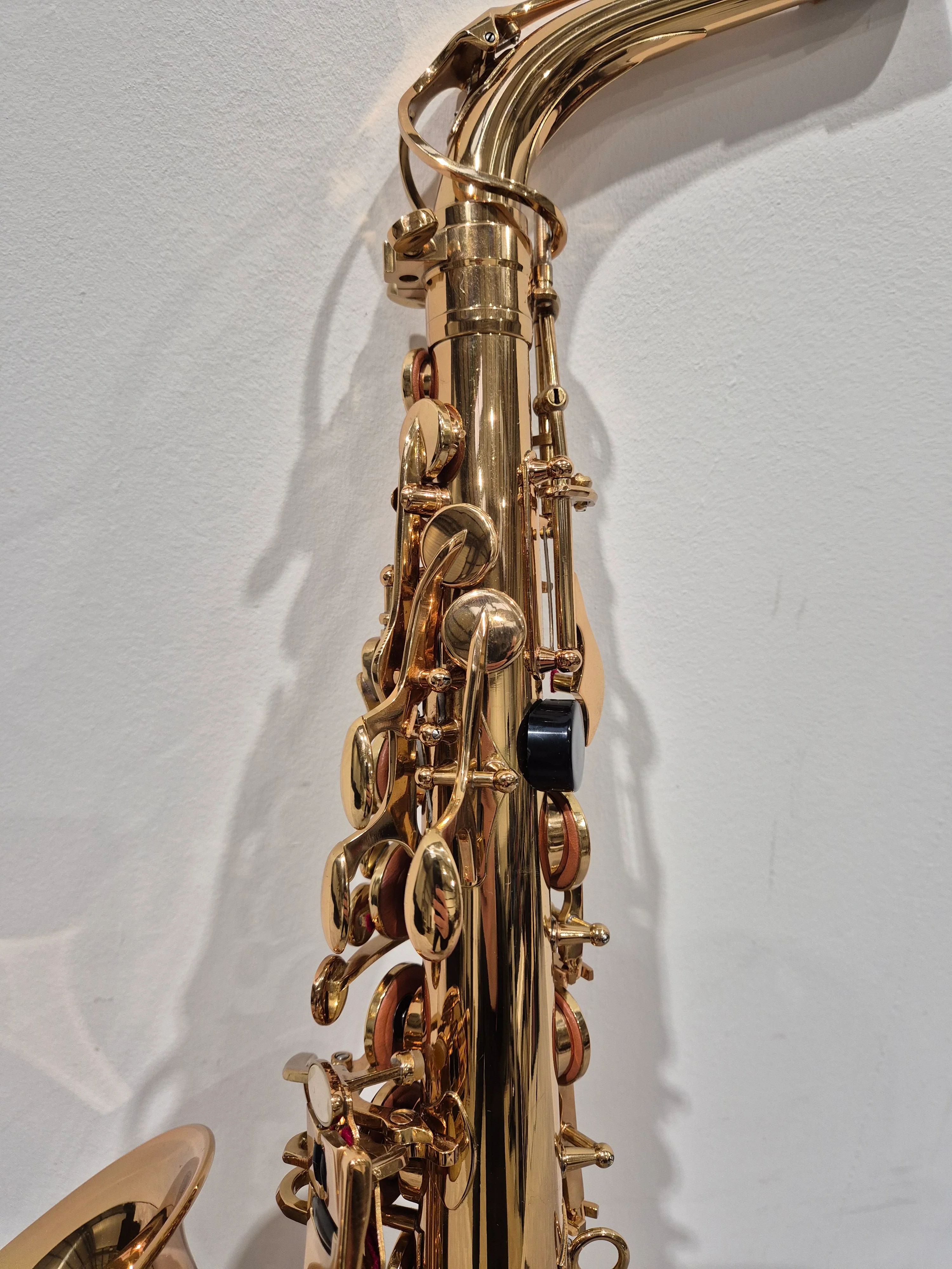 Artemis by Trevor James A1 Alto Saxophone + Artemis Soft Case - Image 6