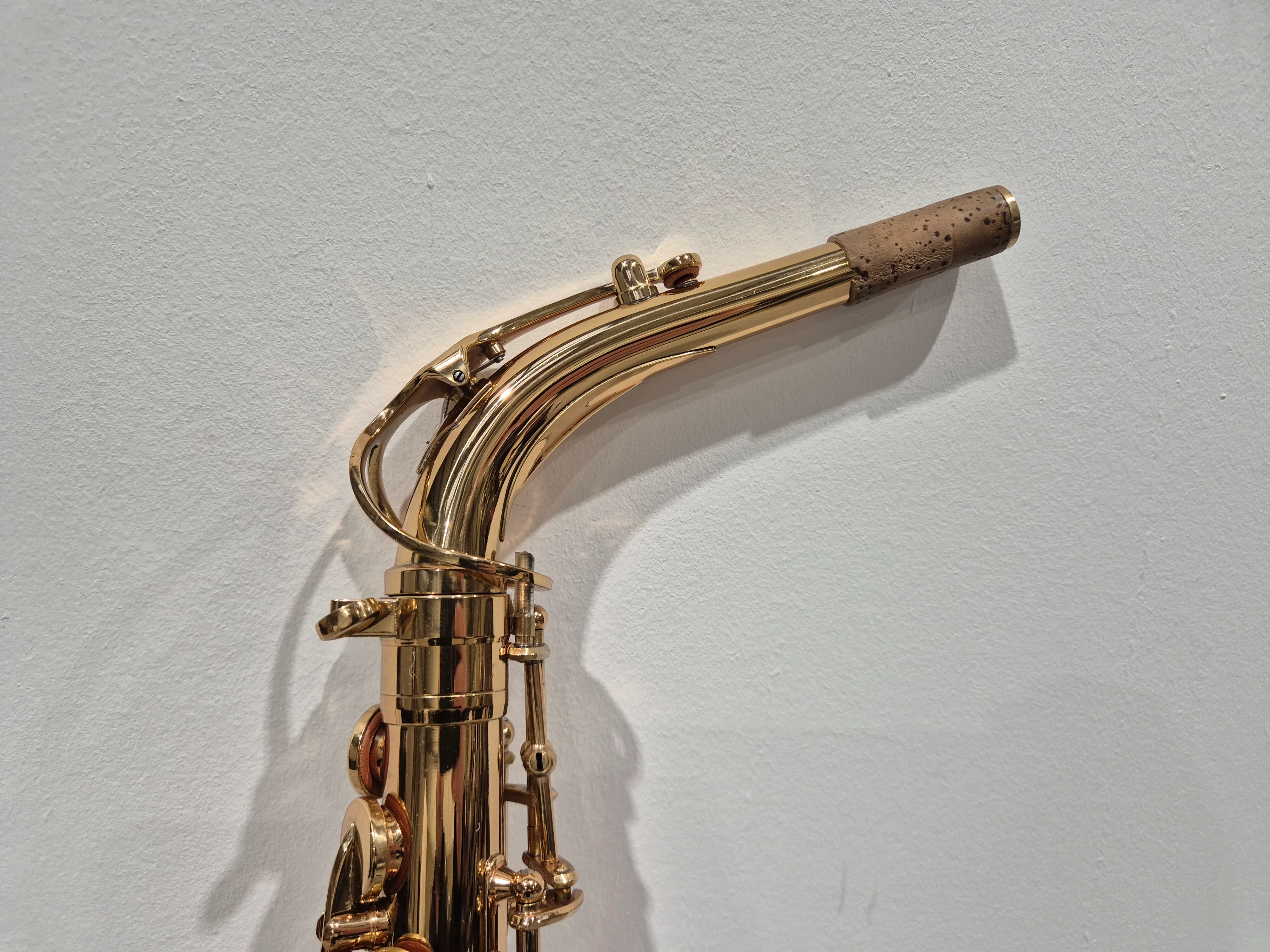 Artemis by Trevor James A1 Alto Saxophone + Artemis Soft Case - Image 7