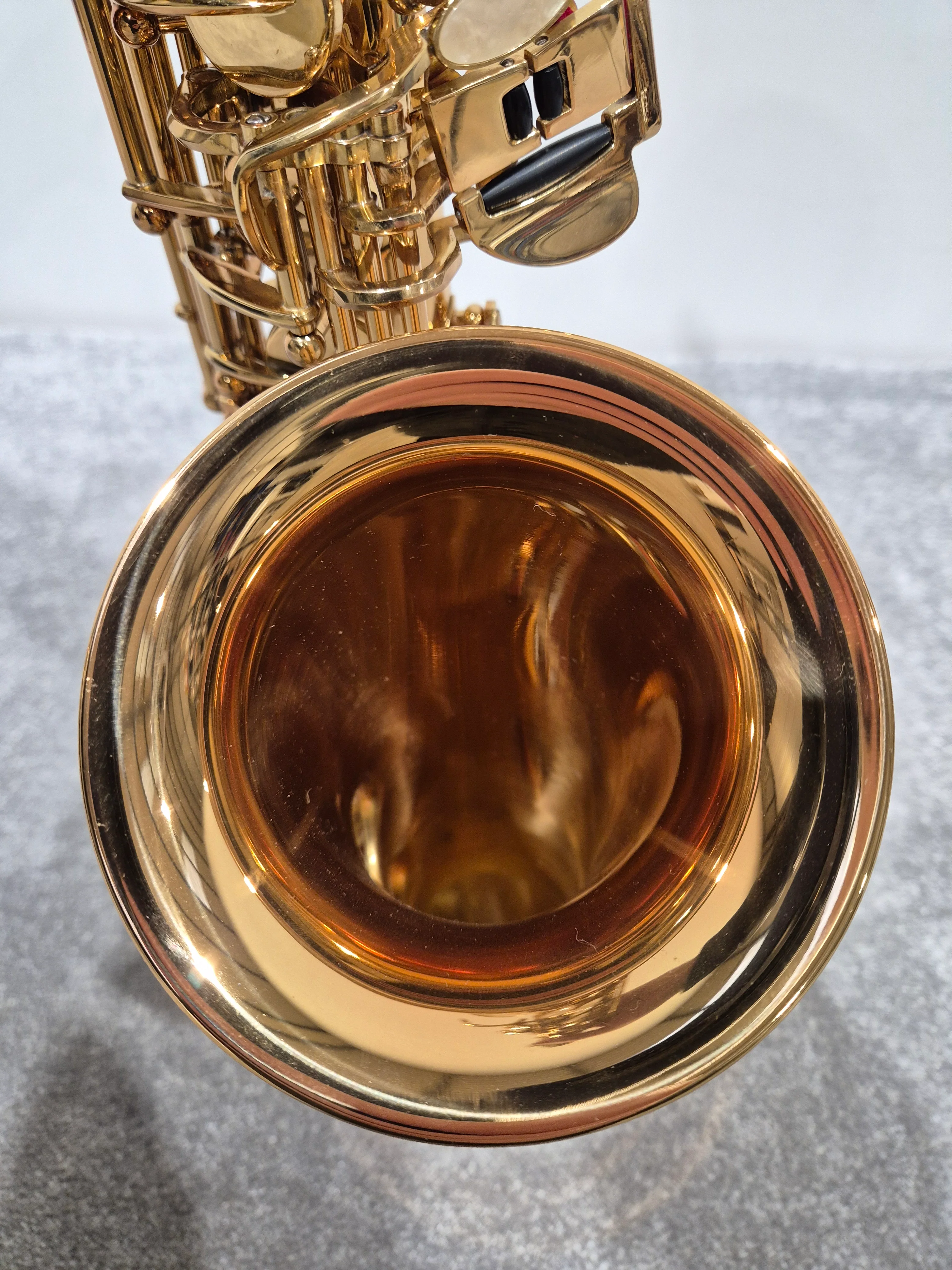 Artemis by Trevor James A1 Alto Saxophone + Artemis Soft Case - Image 8