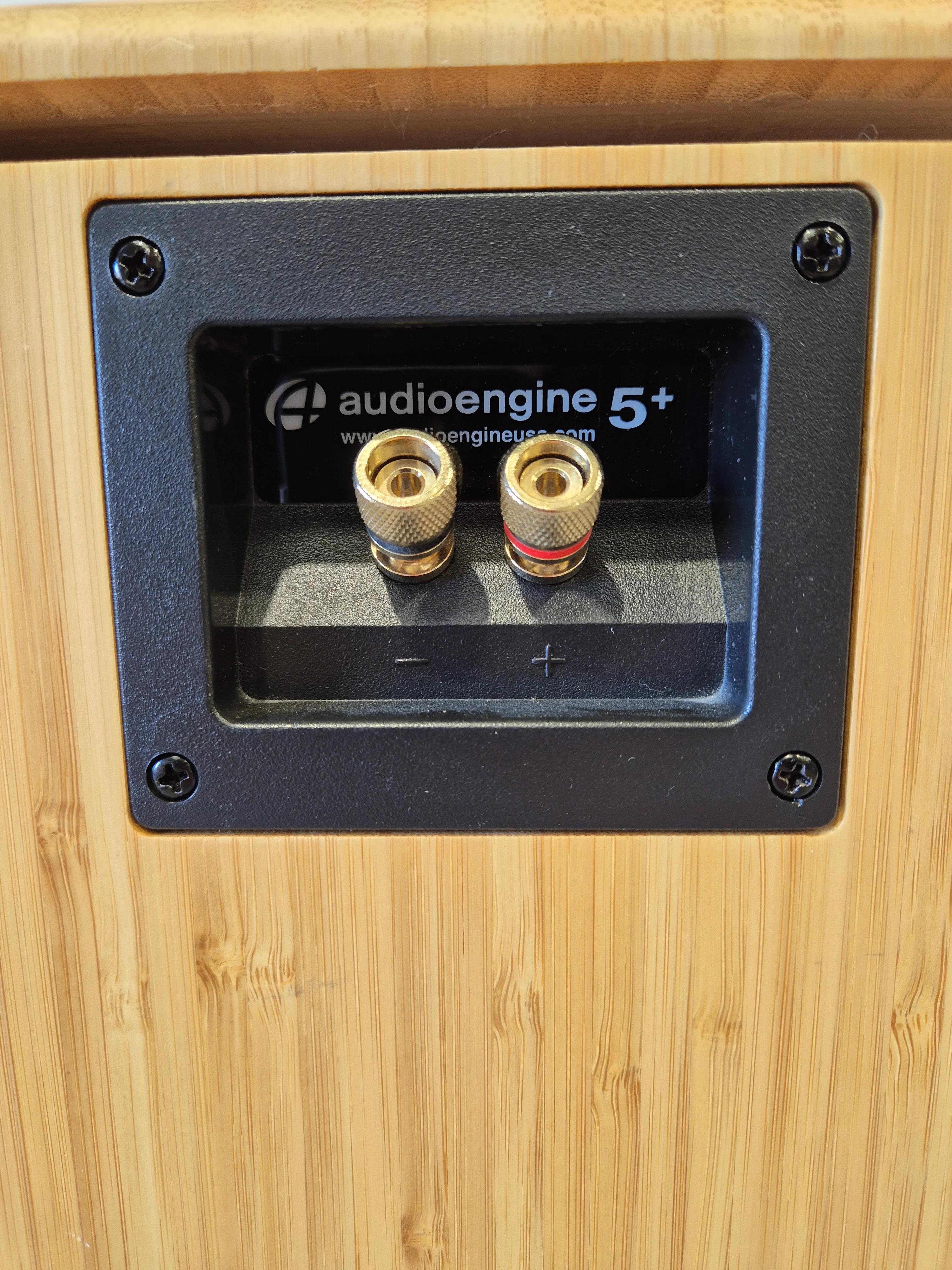 Audioengine A5+ - Premium Powered Speaker System w/ Stands (Pair) - Image 9