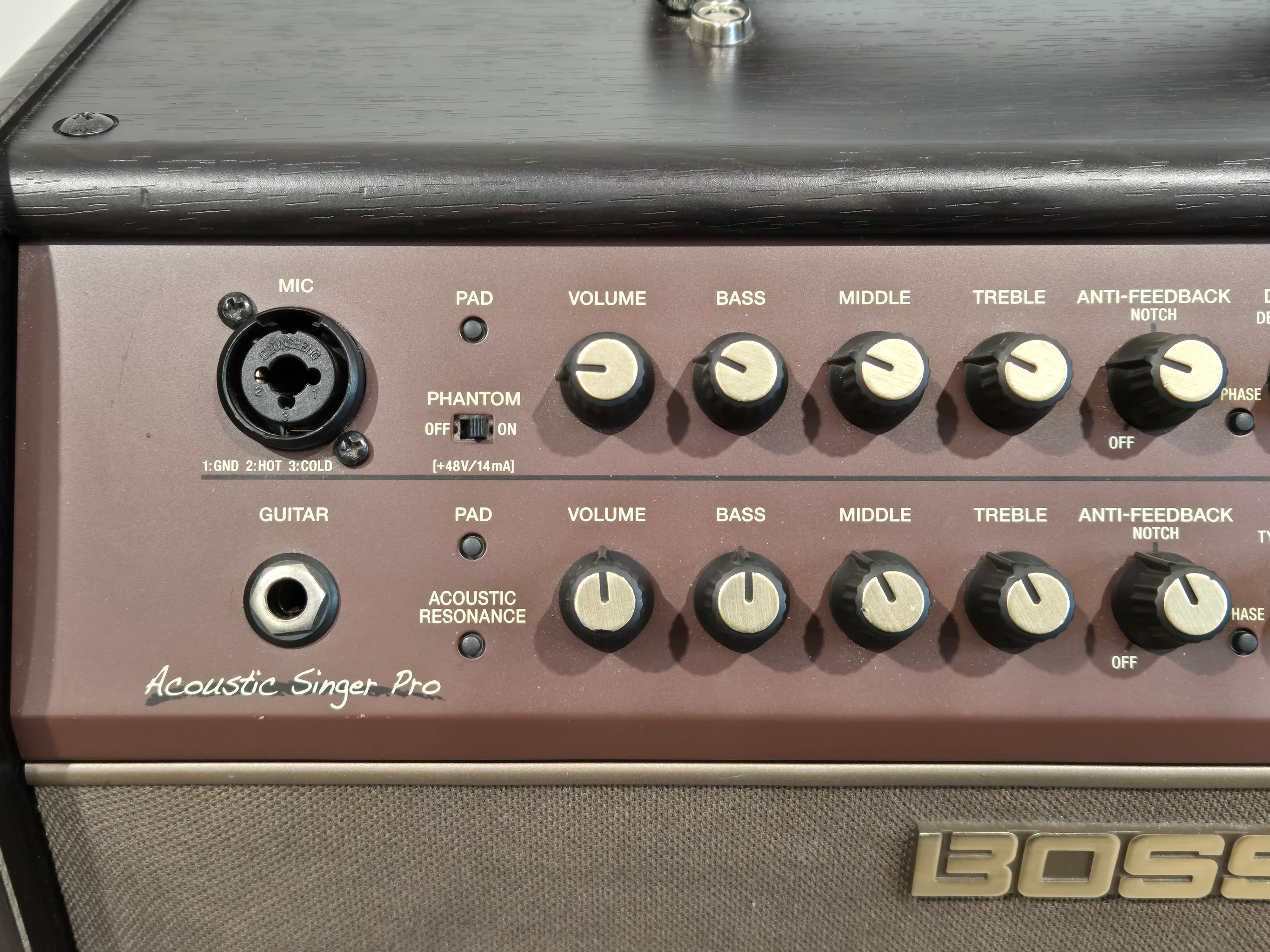 Boss Acoustic Singer Pro - 120-watt Acoustic Amplifier - Image 2