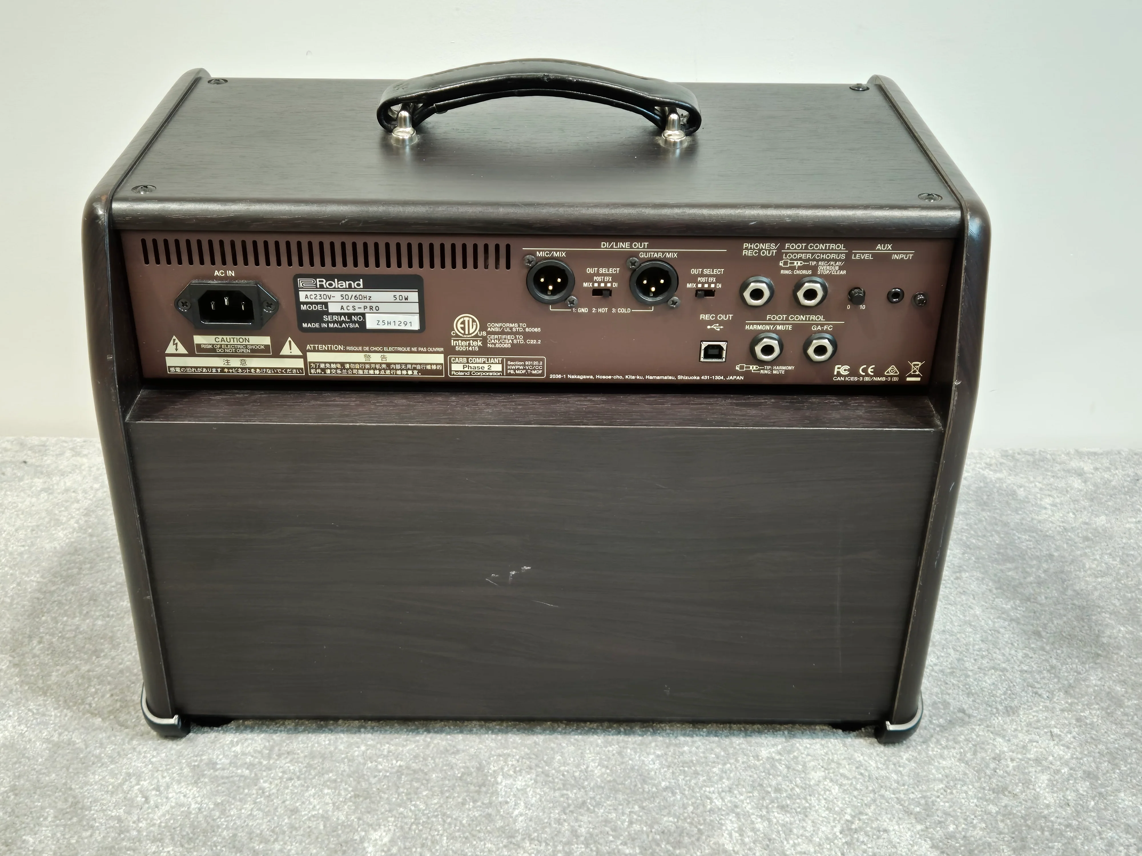 Boss Acoustic Singer Pro - 120-watt Acoustic Amplifier - Image 7