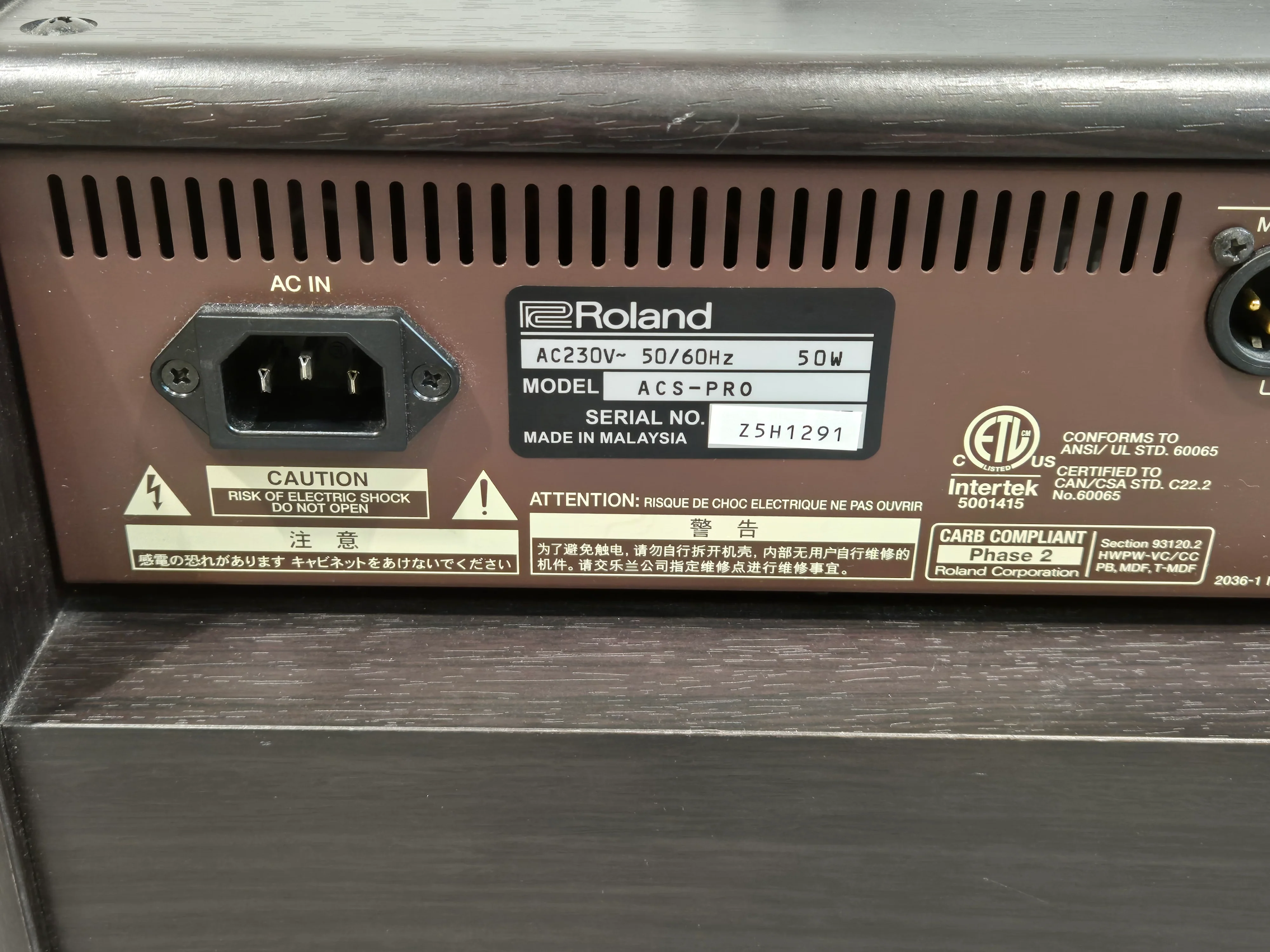 Boss Acoustic Singer Pro - 120-watt Acoustic Amplifier - Image 9