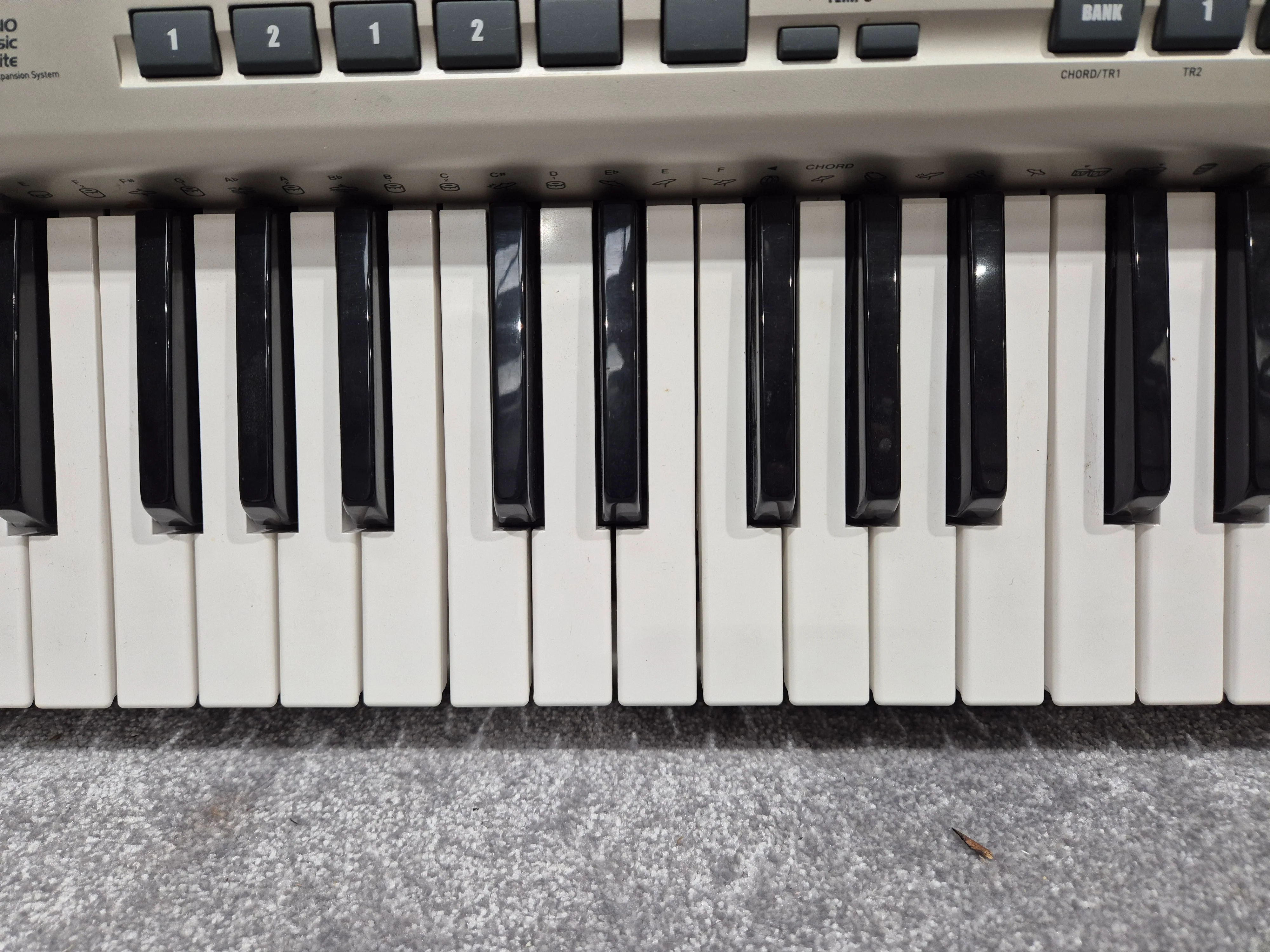 Casio WK 3200 - Versatile Digital 61 Key Keyboard - Image 8