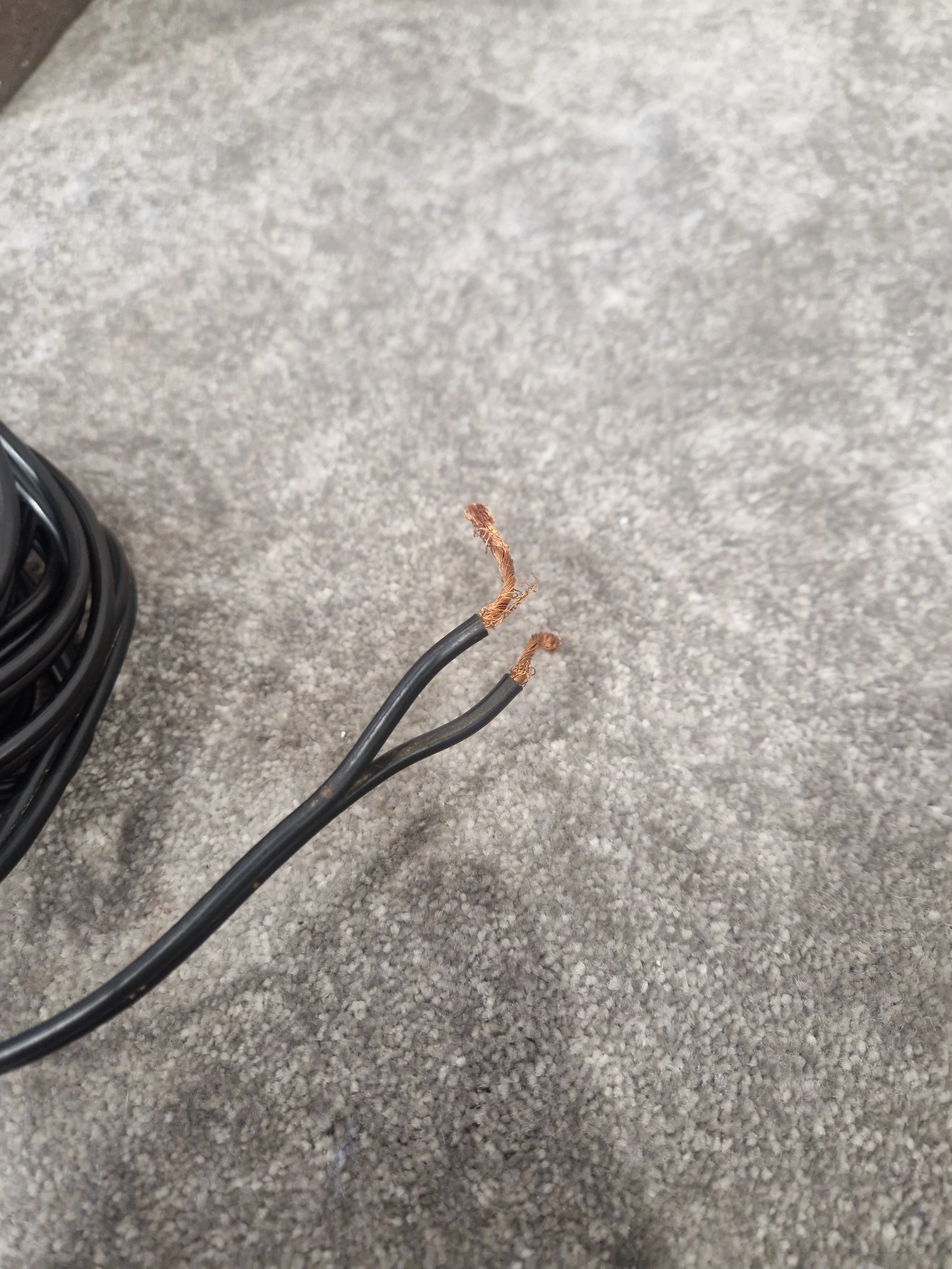 Celestion 66 Studio Monitor Speaker Pair - Nearfield Reference Monitors - Excellent w/ Connector cables - Image 8