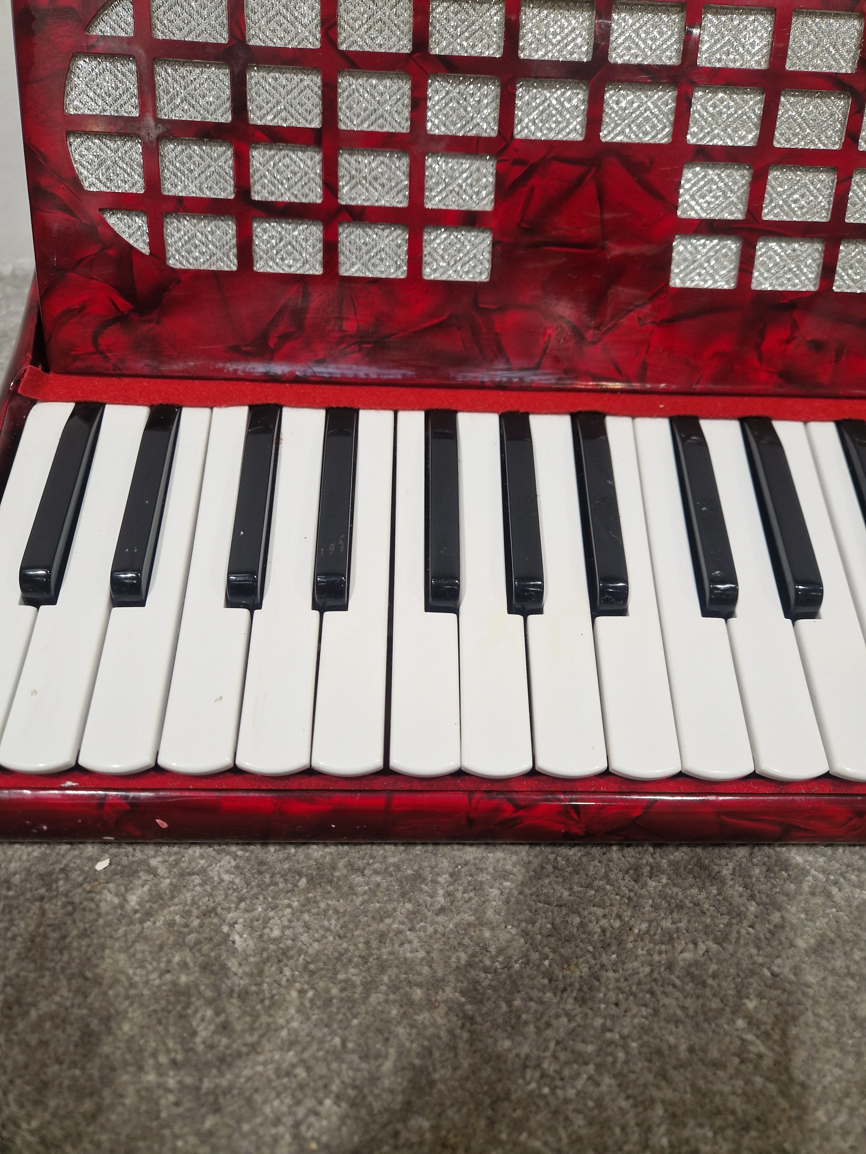 CHANSON 26 KEY-48 BASS - Compact Accordion - Good w/ Hard Case - Image 13