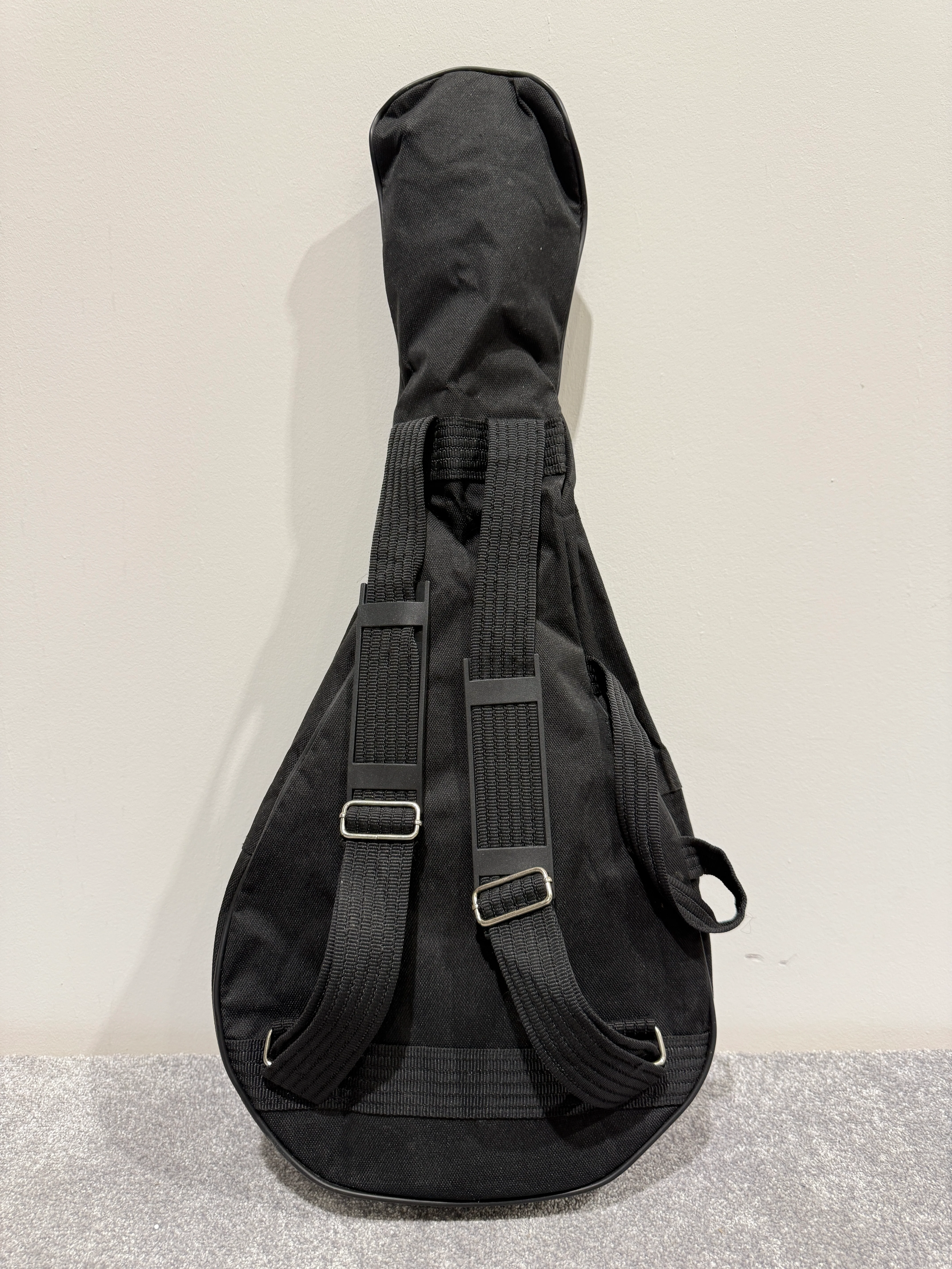 Delta Blue 8 String Mandolin (Red)- with Soft bag, new strings and mandolin chord book - Image 14