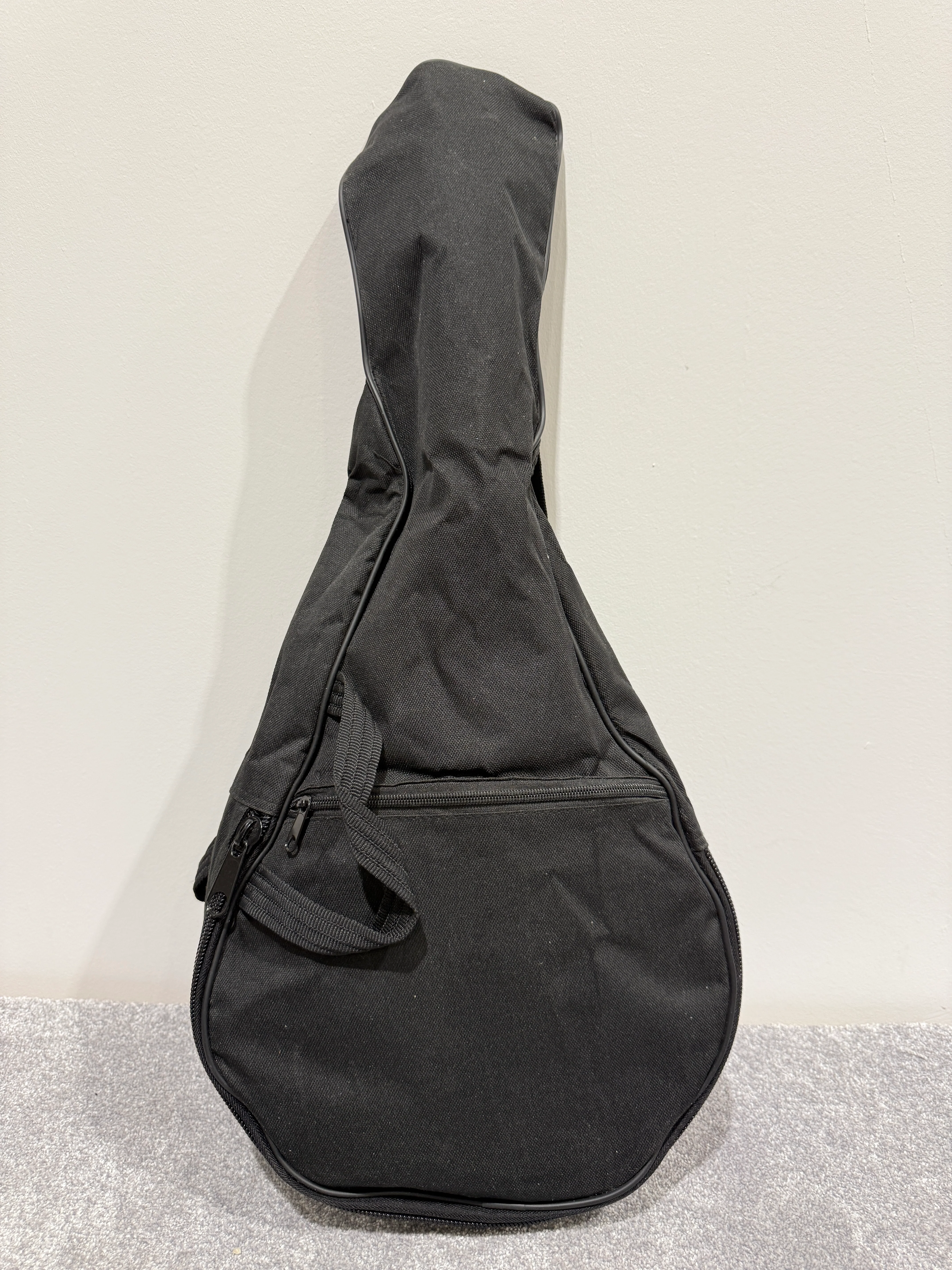 Delta Blue 8 String Mandolin (Red)- with Soft bag, new strings and mandolin chord book - Image 15
