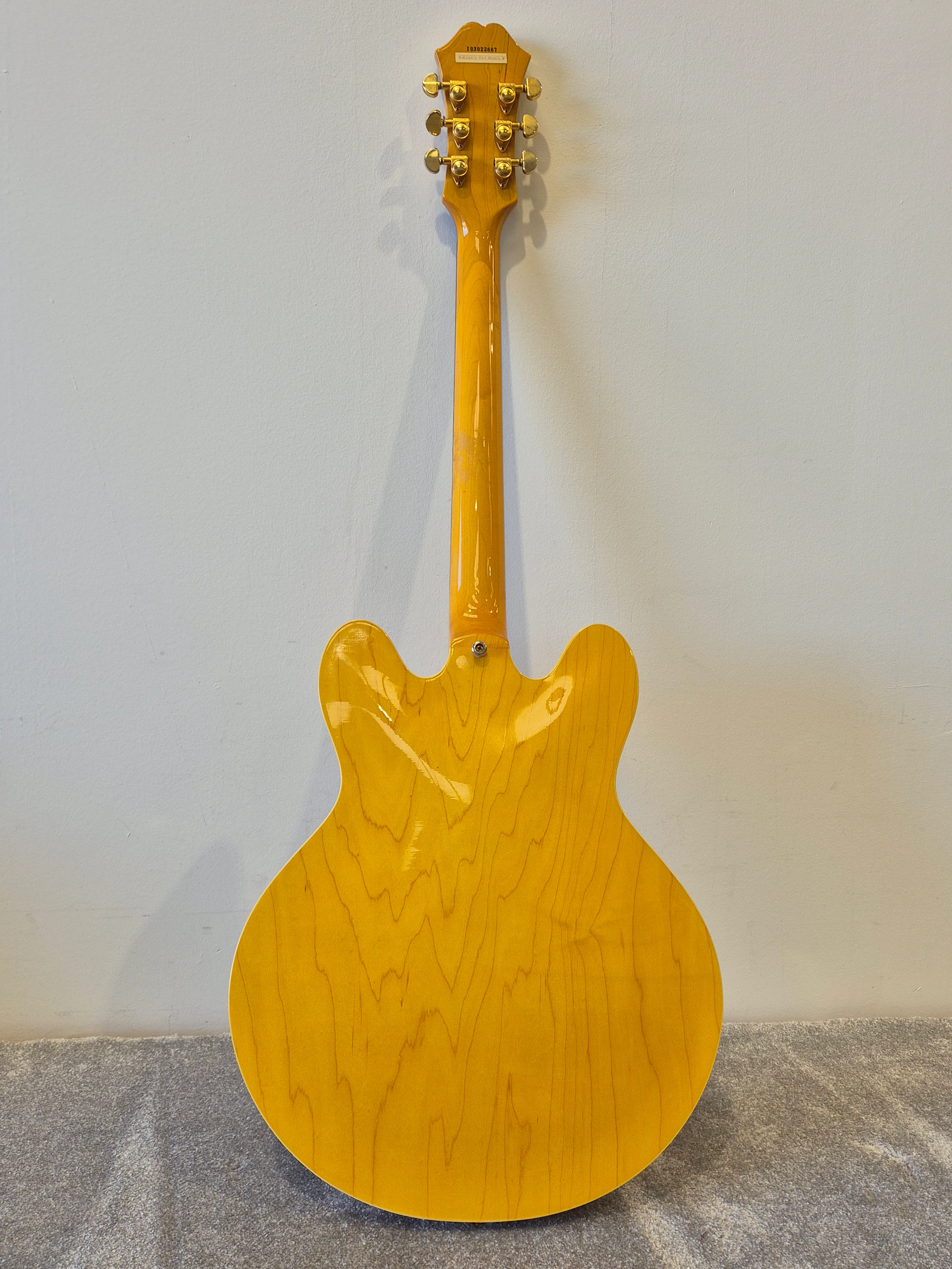 Epiphone Dot Deluxe Flame – Semi-Hollow Body Electric Guitar – Excellent w/ Stagg Soft Case - Image 11