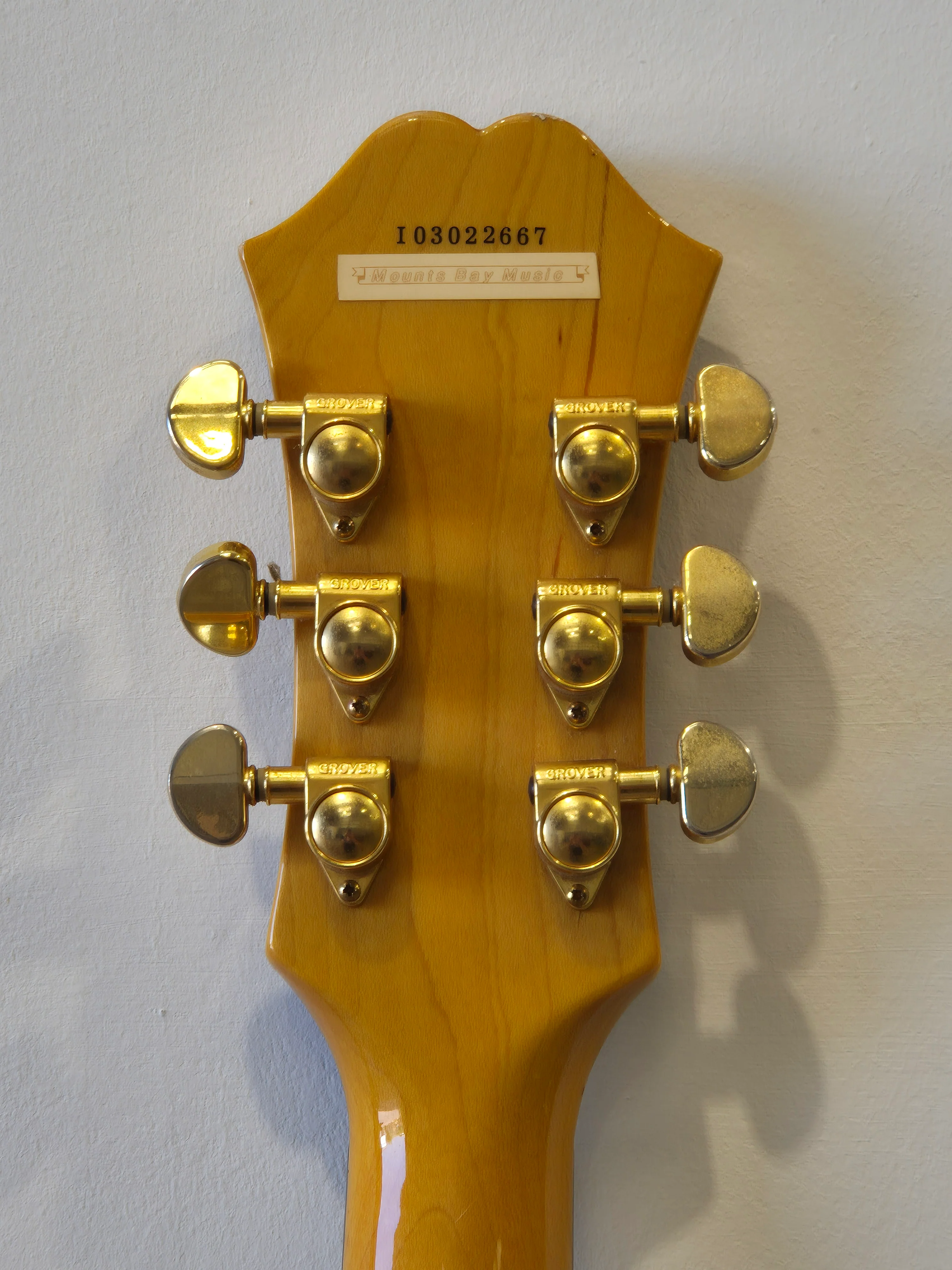 Epiphone Dot Deluxe Flame – Semi-Hollow Body Electric Guitar – Excellent w/ Stagg Soft Case - Image 12