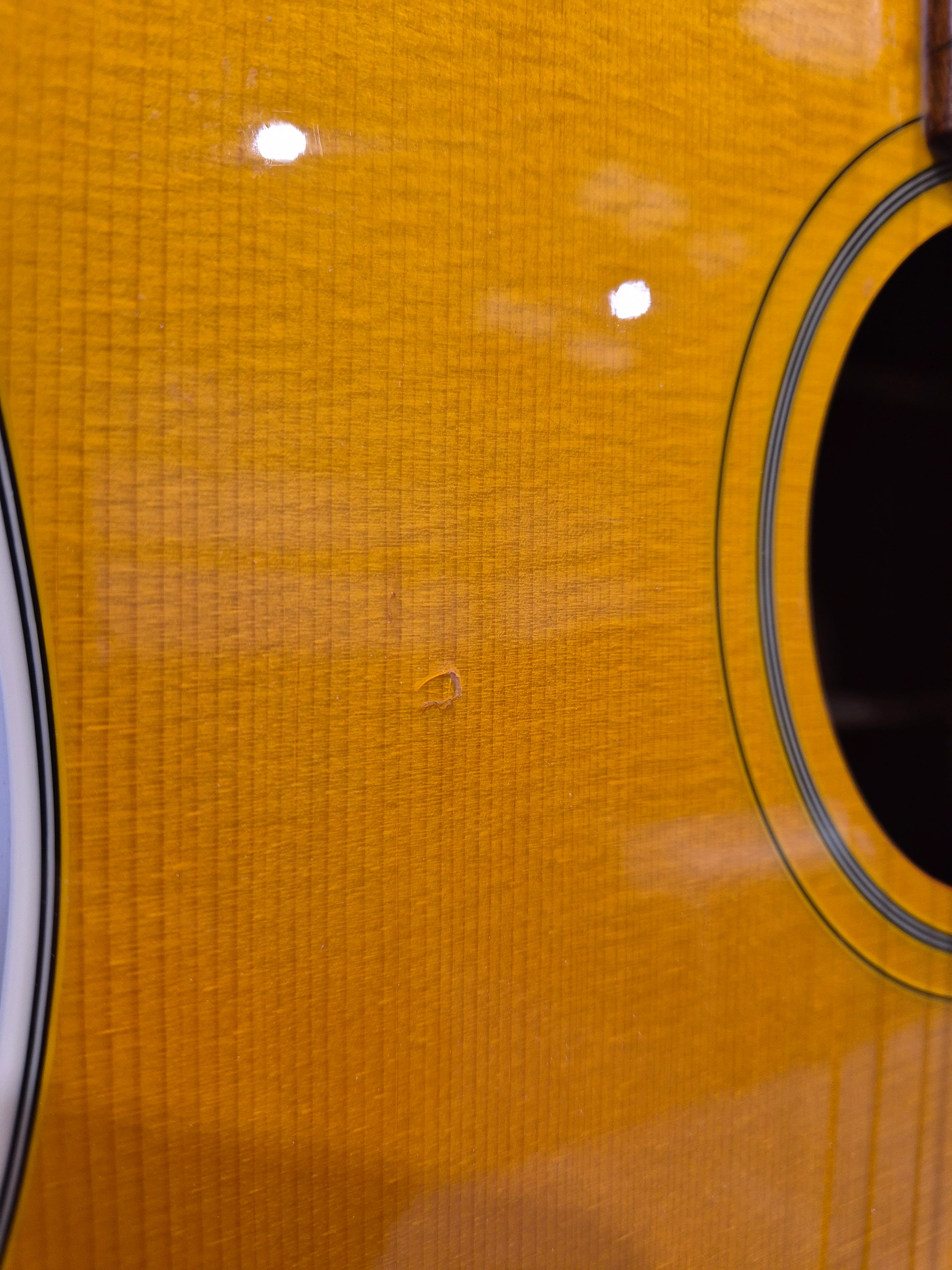 Epiphone FT-79 - Jumbo Type Acoustic Flattop Guitar - Image 5