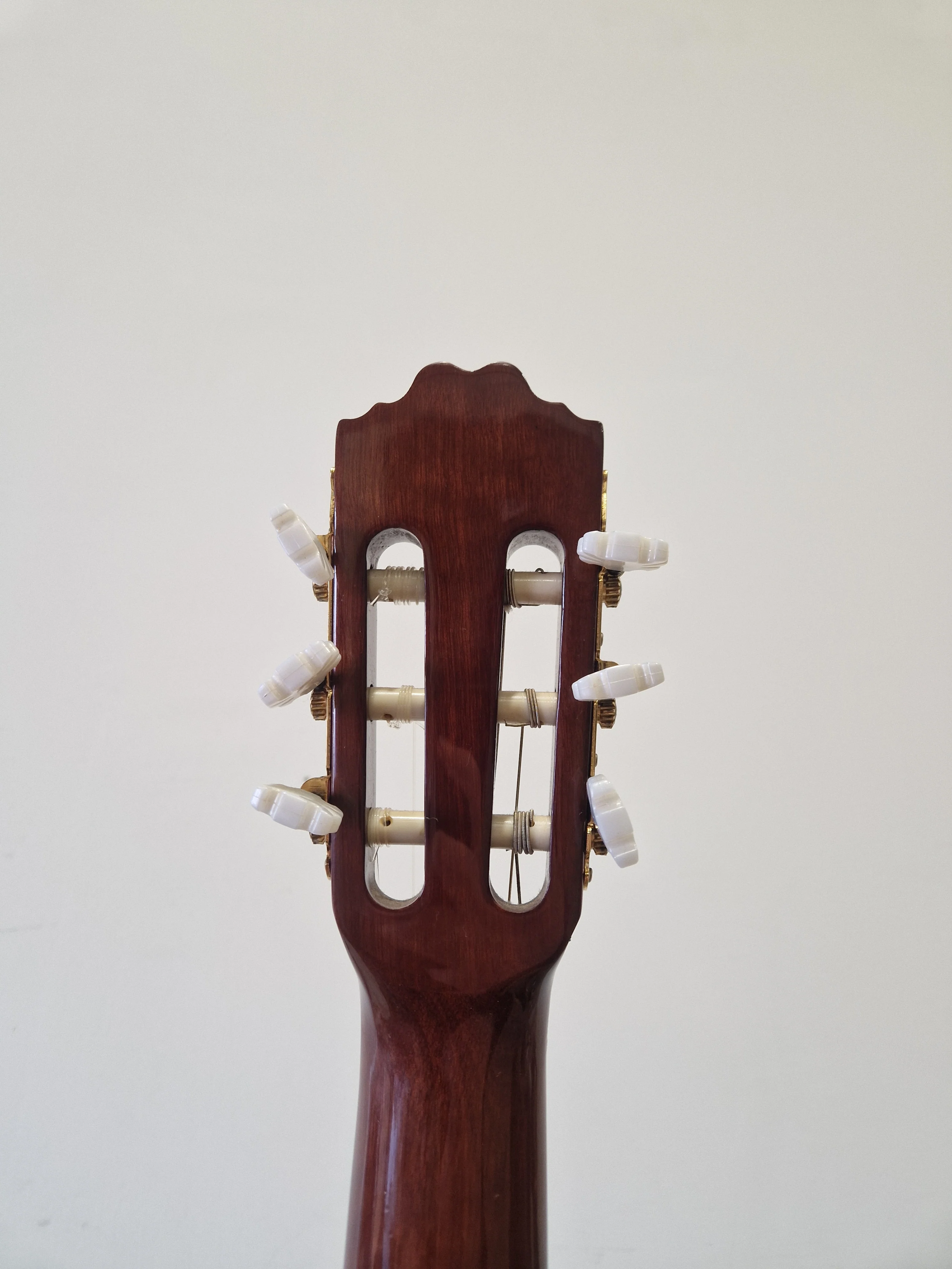 Espana CGP - Acoustic Guitar - Excellent - Image 2