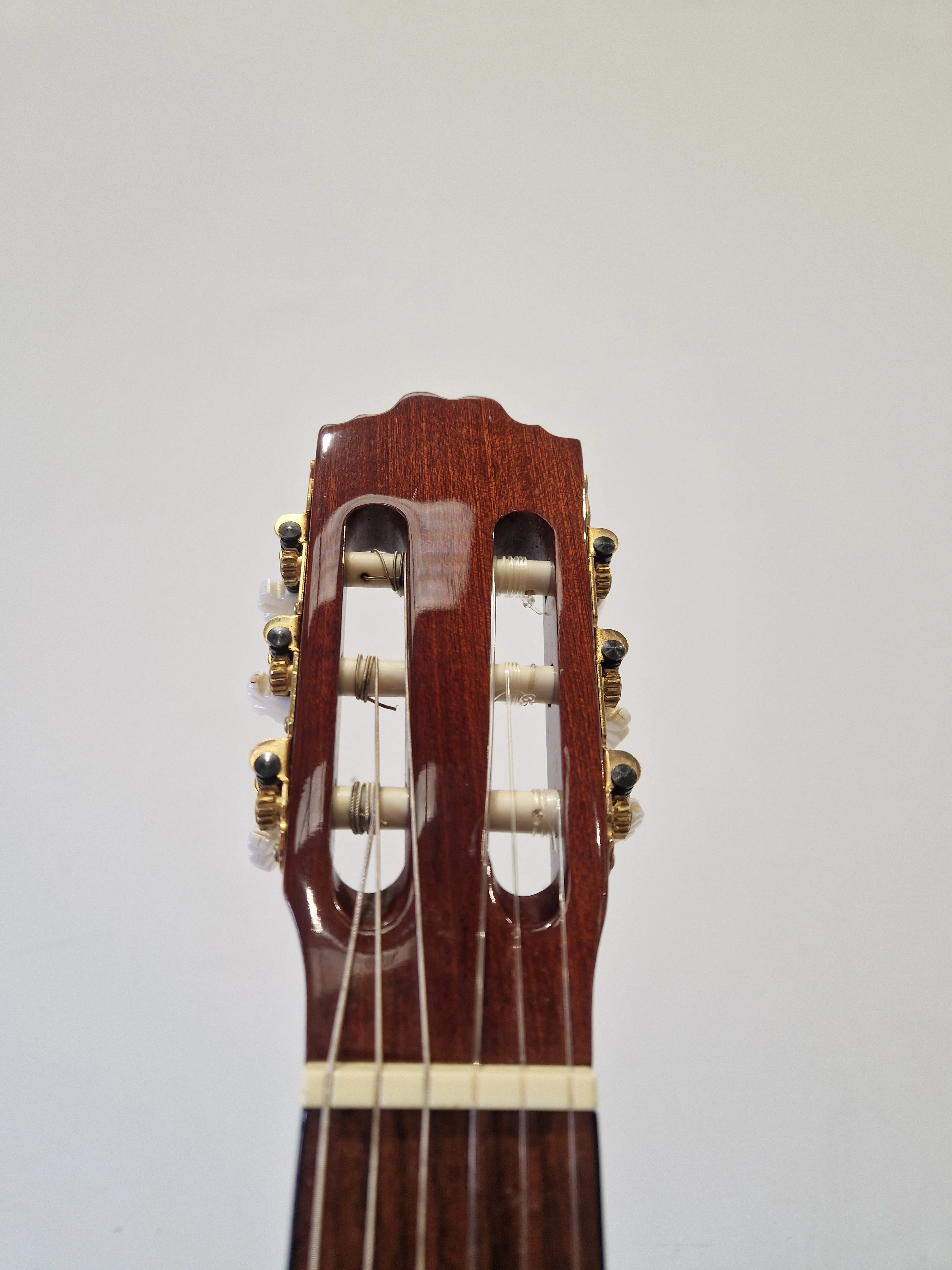 Espana CGP - Acoustic Guitar - Excellent - Image 4