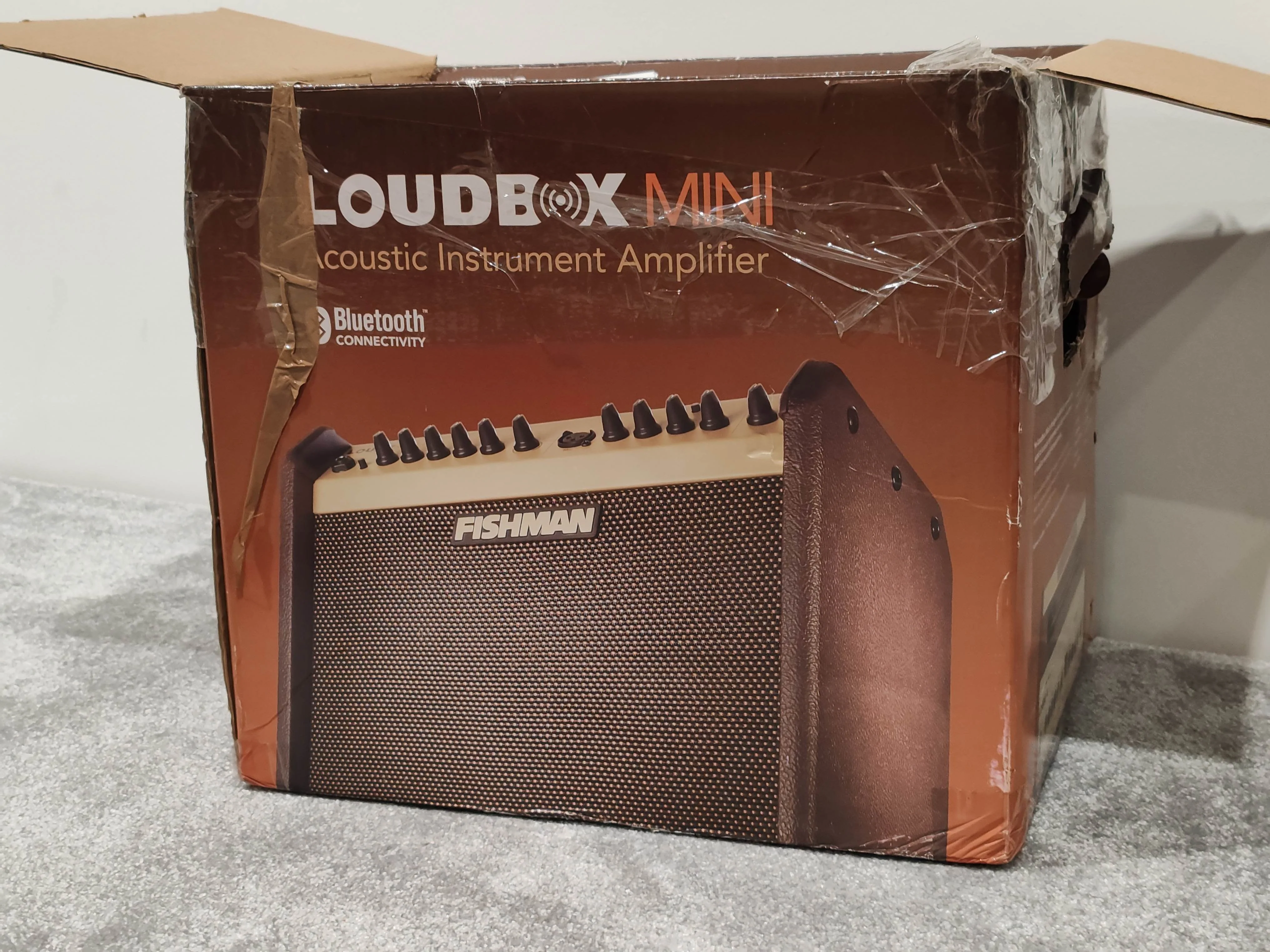 Fishman Loudbox Mini Acoustic Instrument Amplifier 60 Watts - Image 10