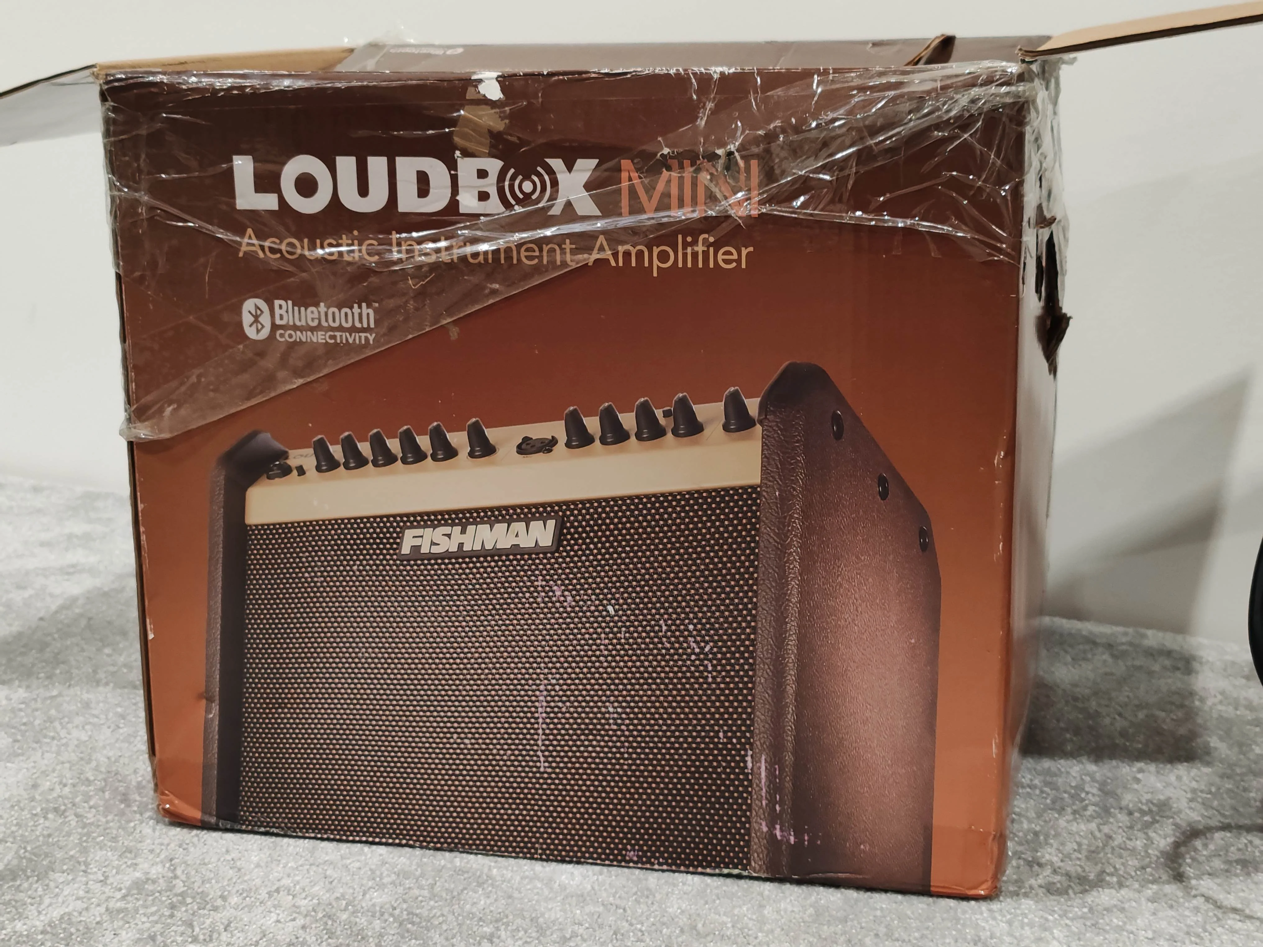 Fishman Loudbox Mini Acoustic Instrument Amplifier 60 Watts - Image 9