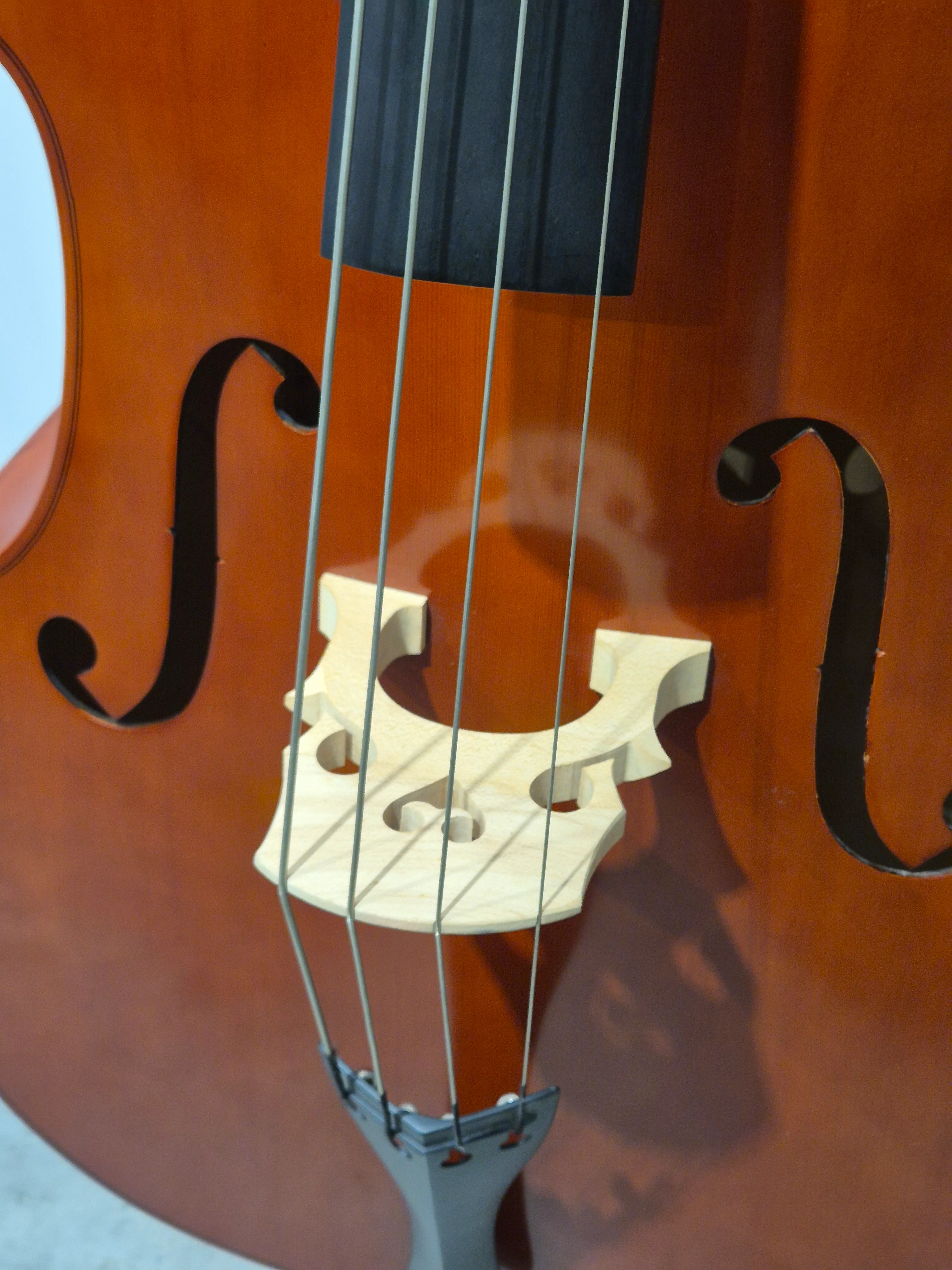 GEAR4MUSIC - 3/4 Jazz Double Bass - Rich Tone - Excellent w/ Hard Case - Image 2