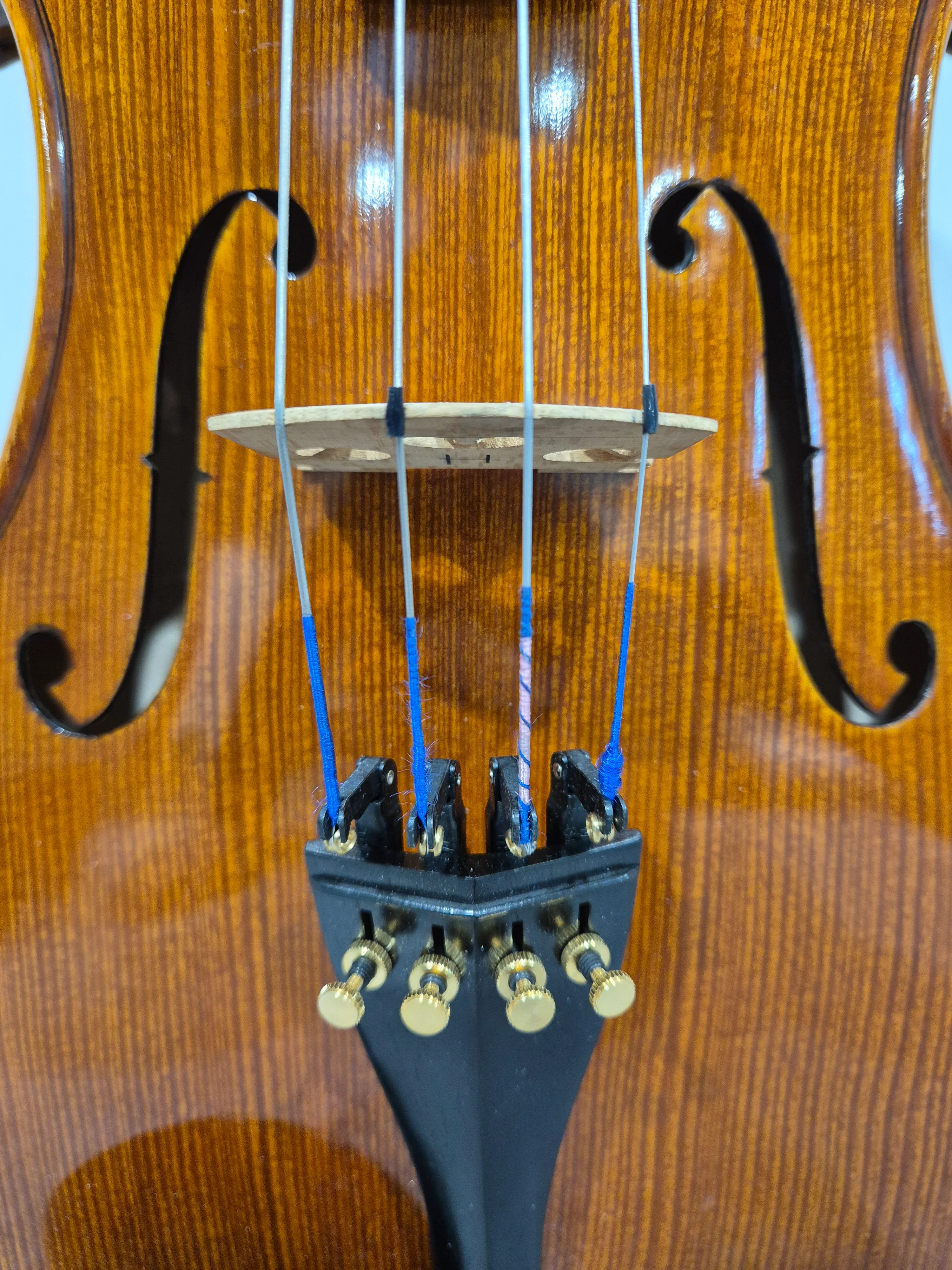 Hidersine Piacenza 1 Violin + Hard Case + 2 Quality Bows - Image 5