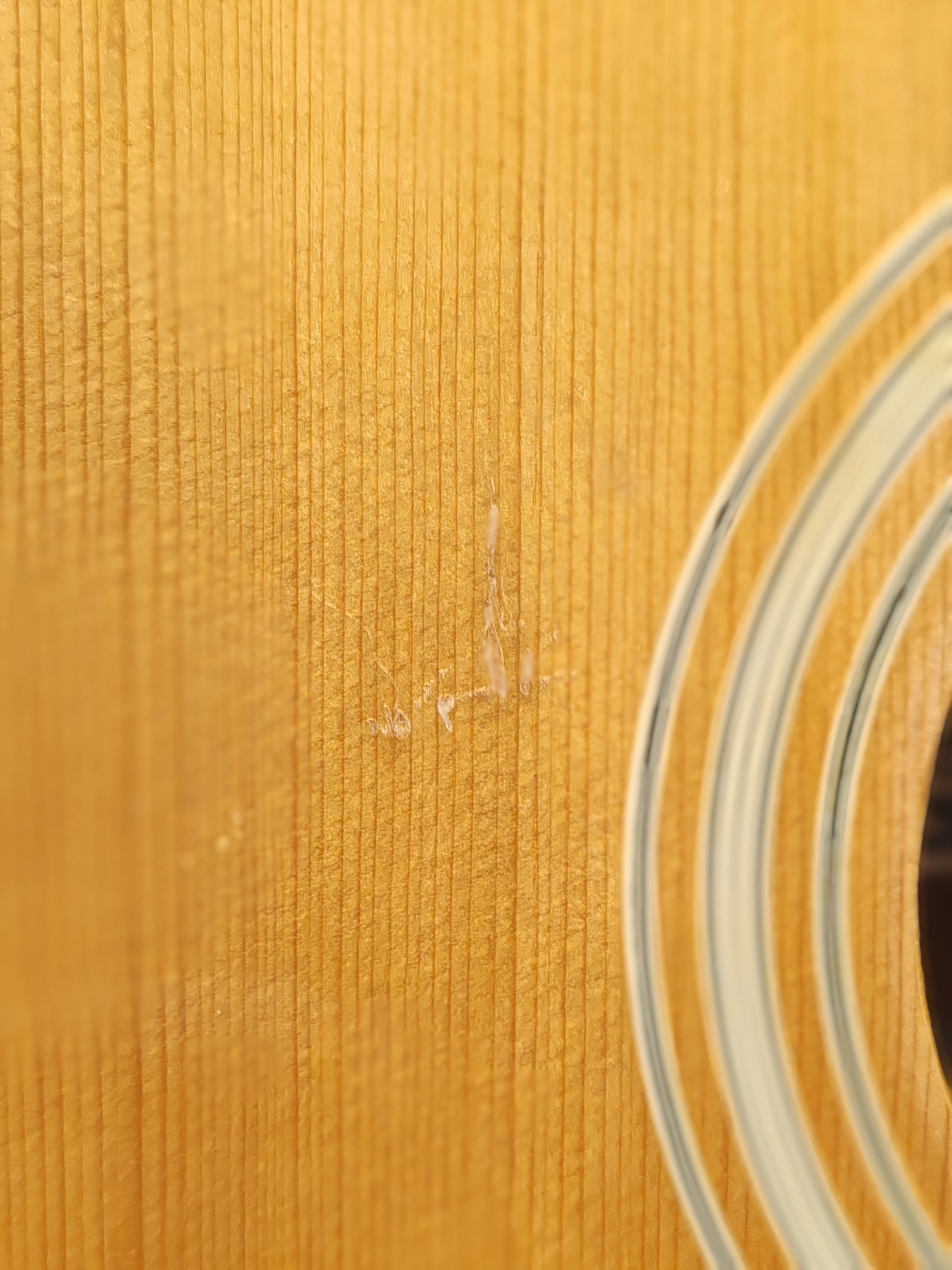 Kiso Suzuki WT-100 12 String Acoustic Guitar - Rich Tone, Mahogany Body - Good - Image 5
