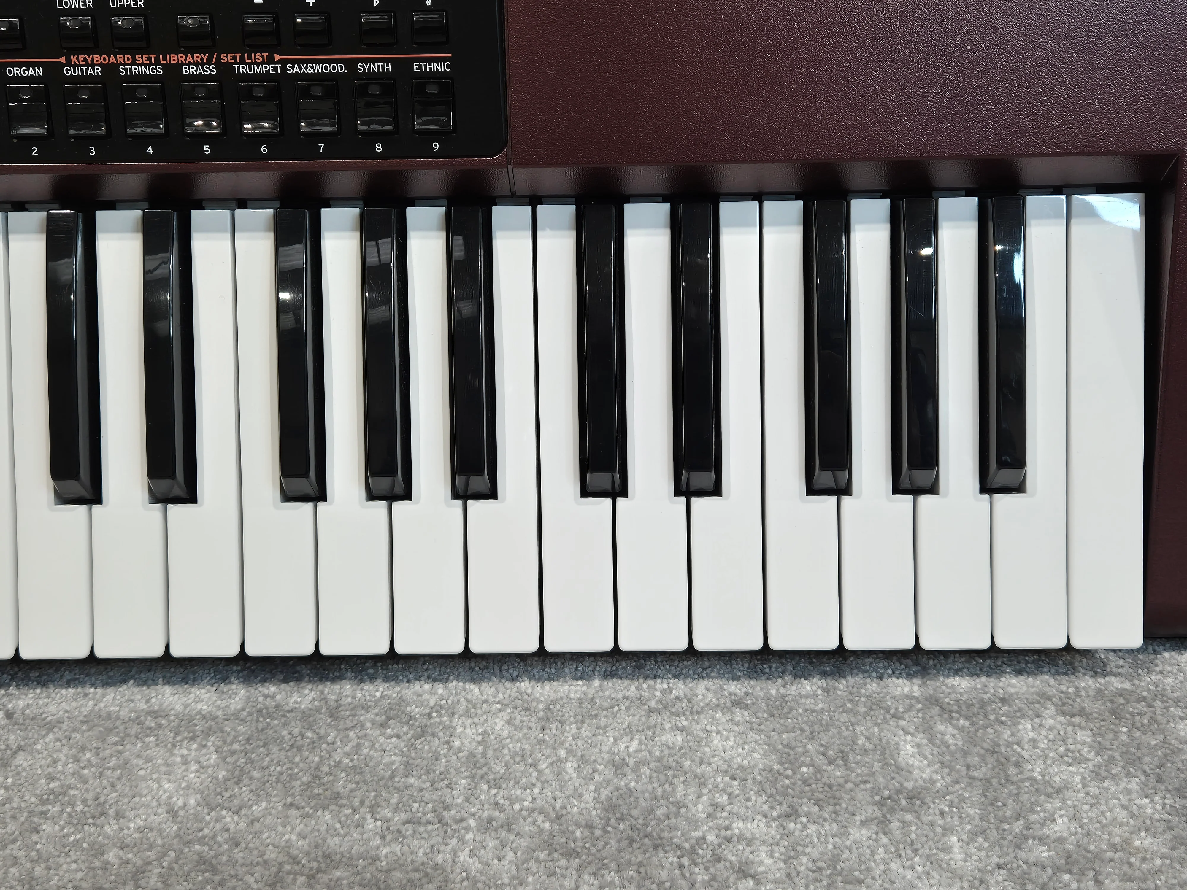 Korg PA1000 Professional Arranger - 61-keys Semi-Weighted Keyboard w/ Original Box - Image 7