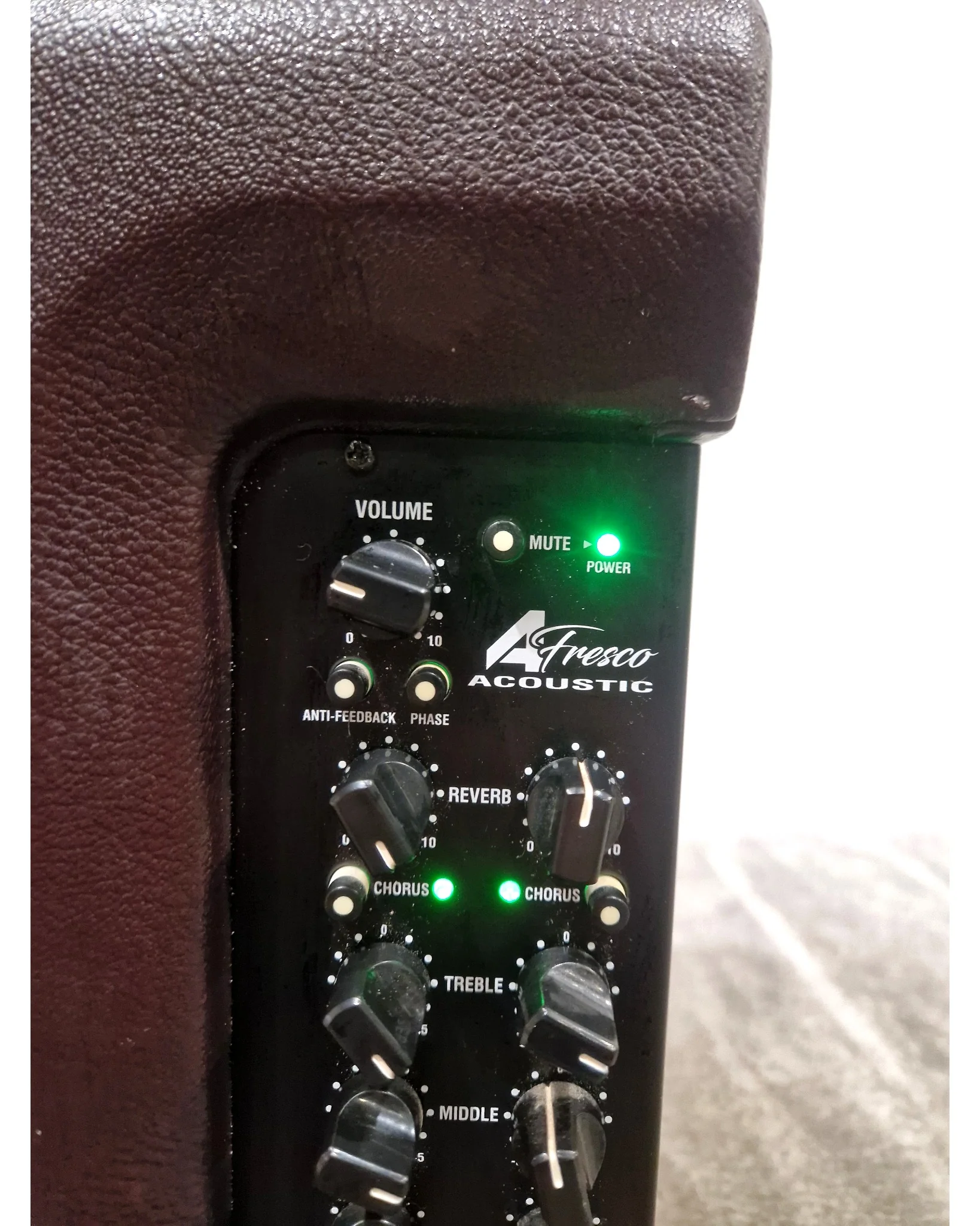 Laney A-FRESCO - Amplifier no Battery Pack - Brown - Good - Image 8