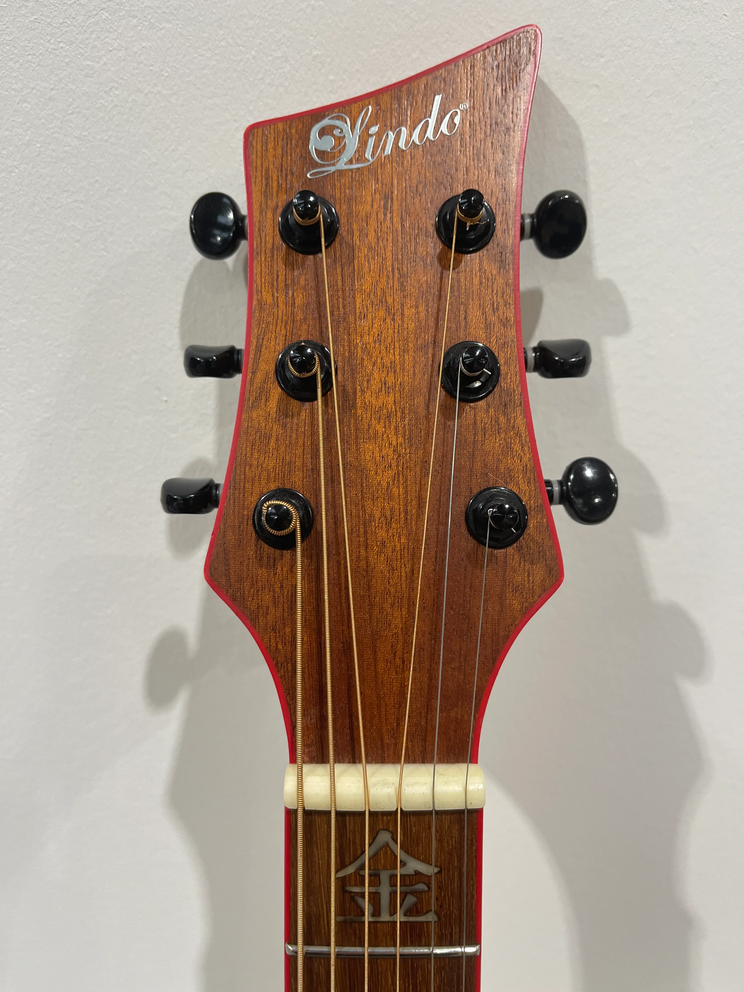 Lindo Dragon Electro Acoustic Guitar - Professionally Setup - Image 15