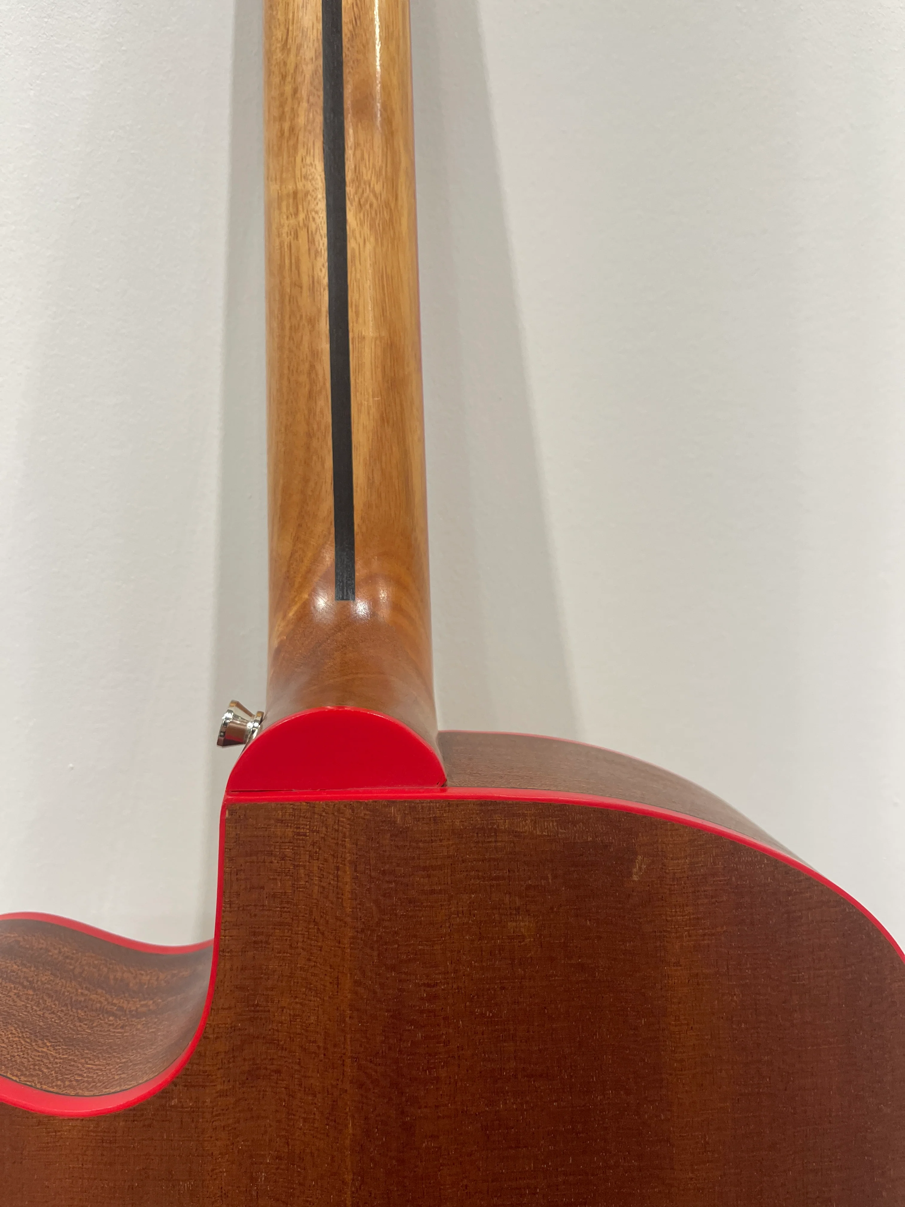 Lindo Dragon Electro Acoustic Guitar - Professionally Setup - Image 18
