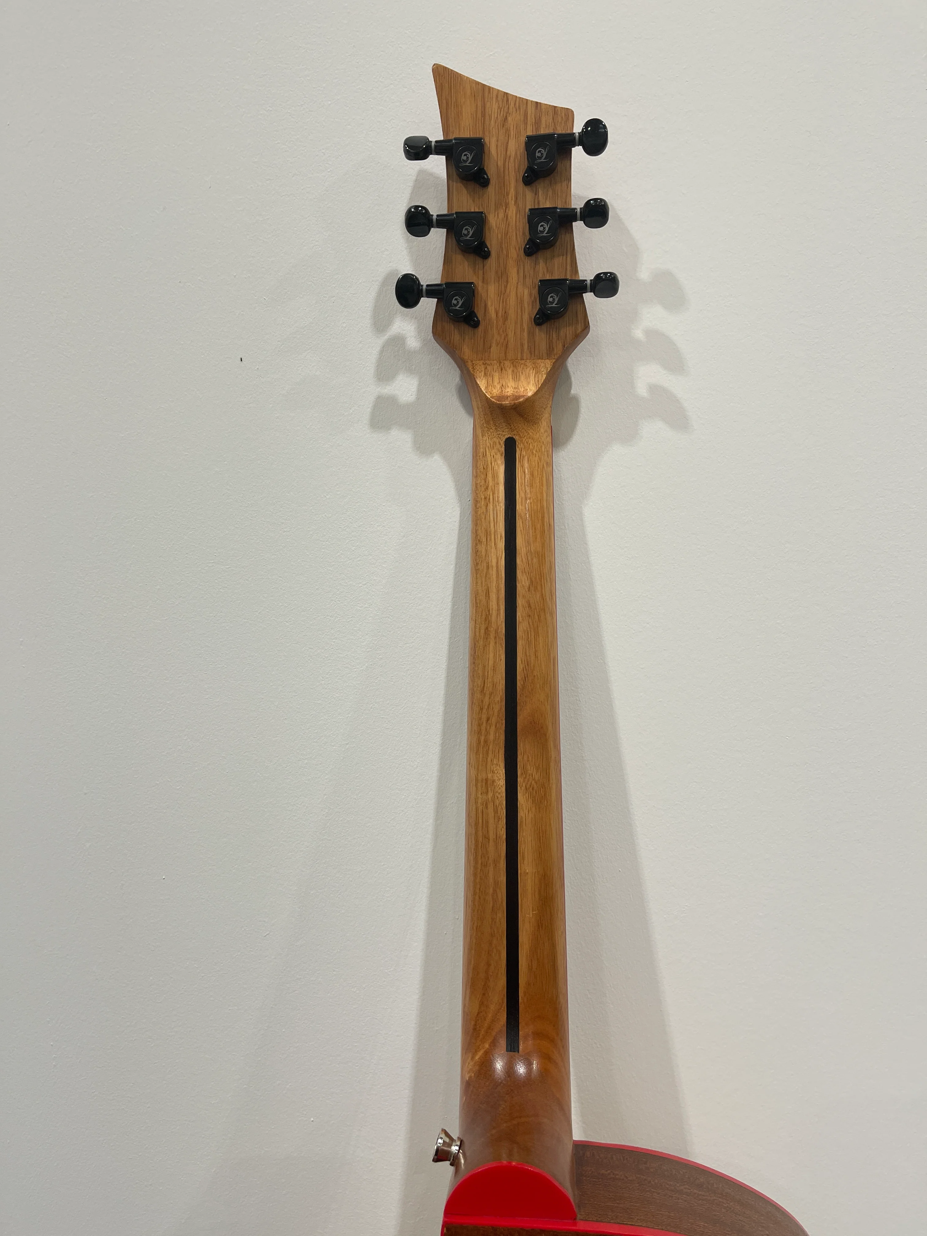 Lindo Dragon Electro Acoustic Guitar - Professionally Setup - Image 19