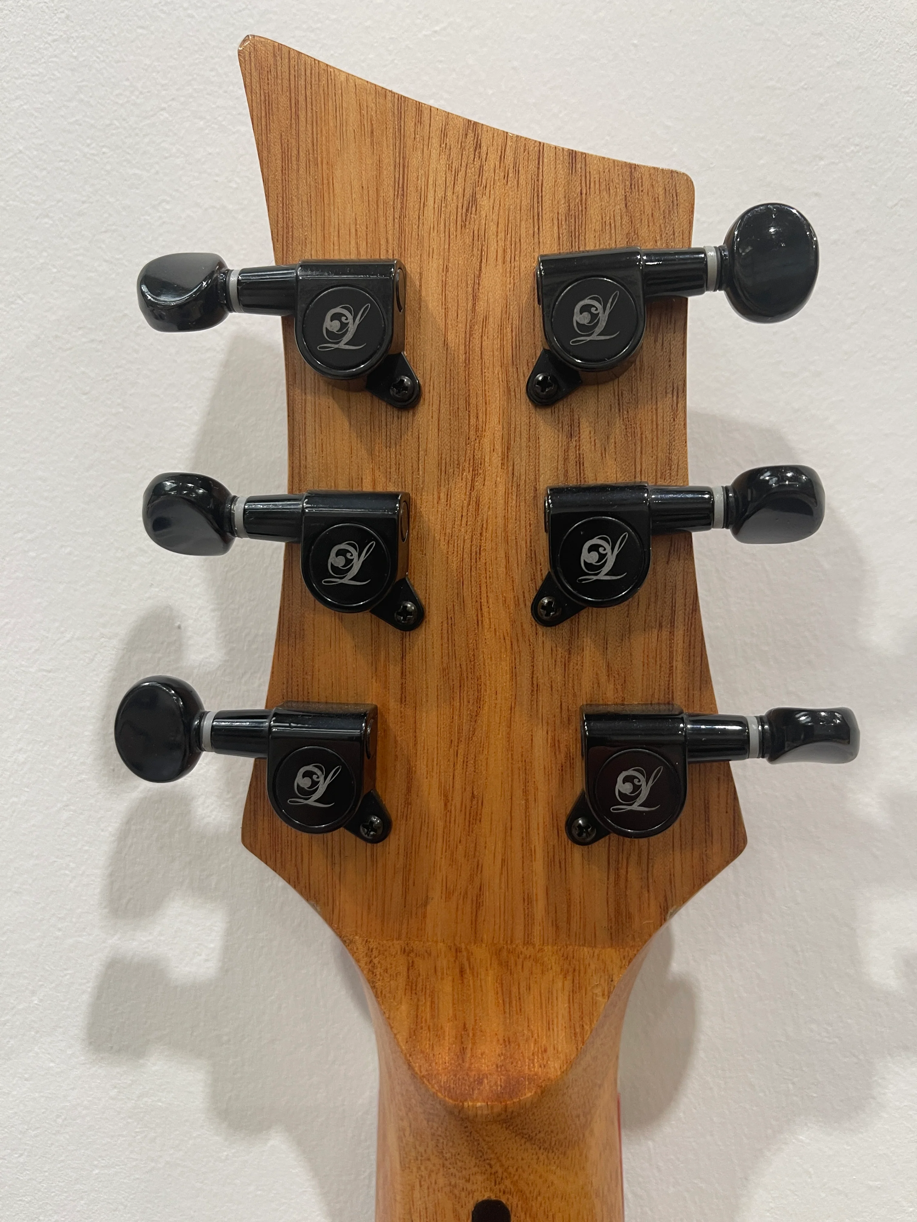 Lindo Dragon Electro Acoustic Guitar - Professionally Setup - Image 20