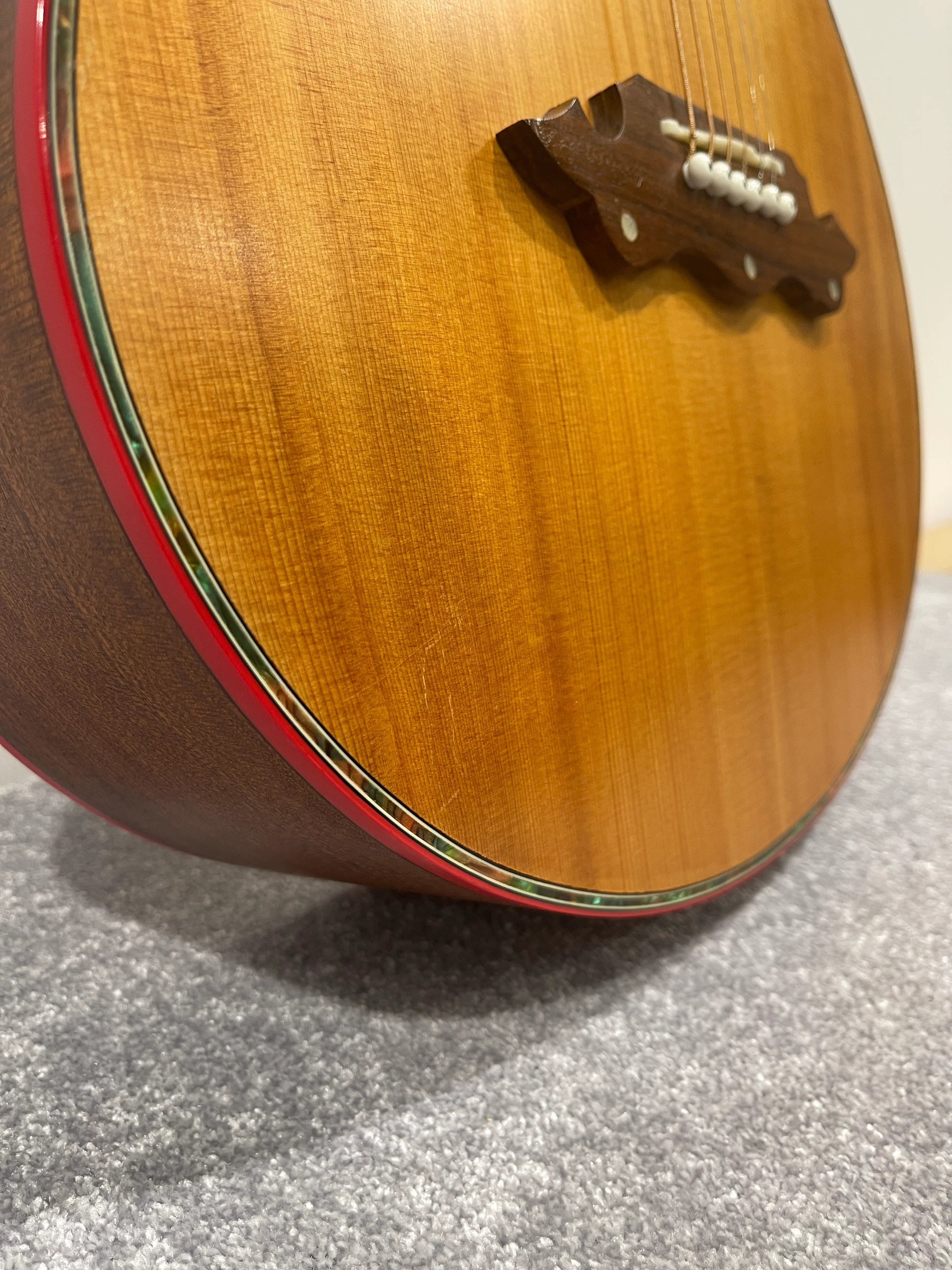 Lindo Dragon Electro Acoustic Guitar - Professionally Setup - Image 3
