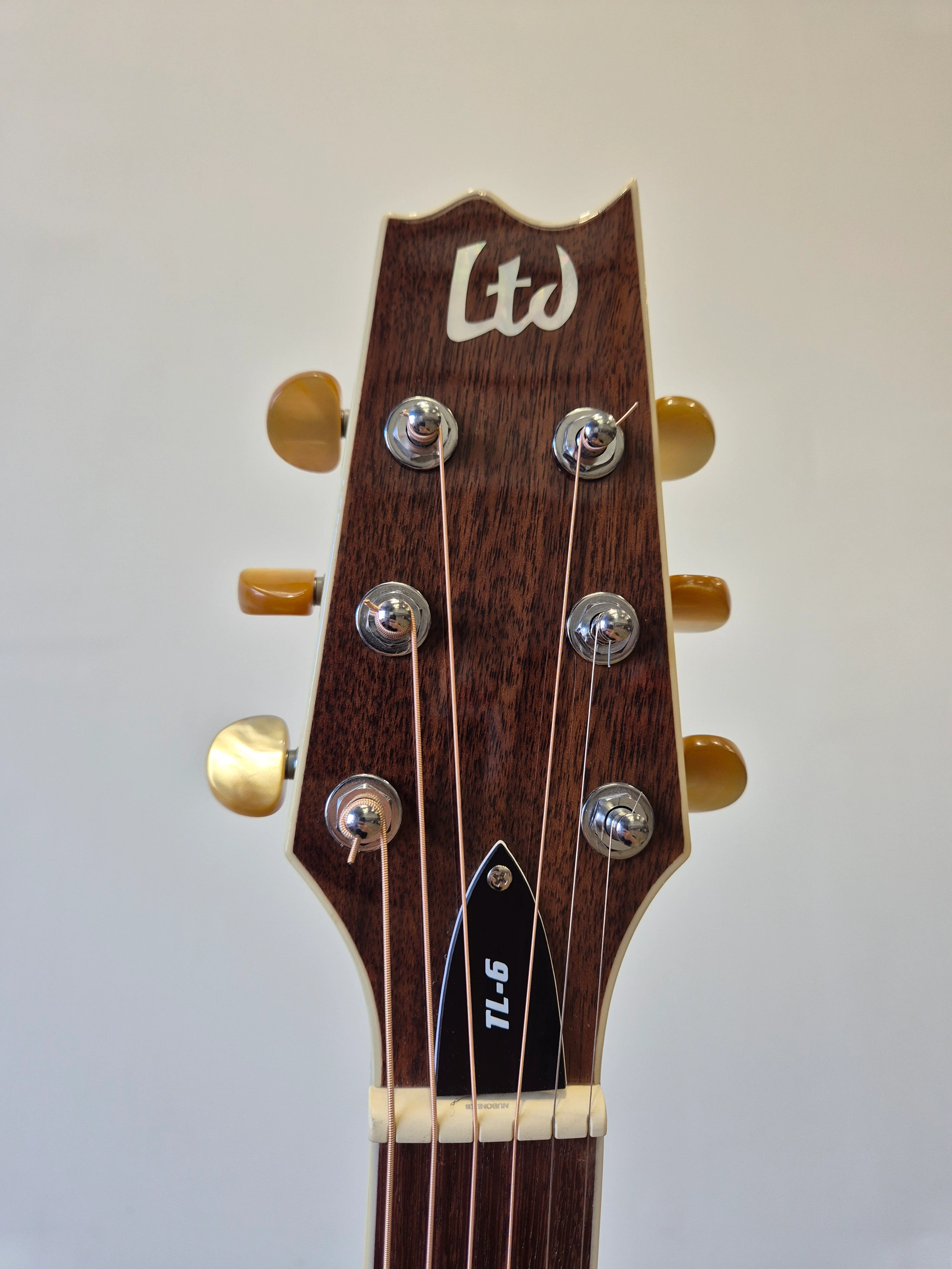 ESP LTD TL-6 - Acoustic-Electric Guitar - Image 4