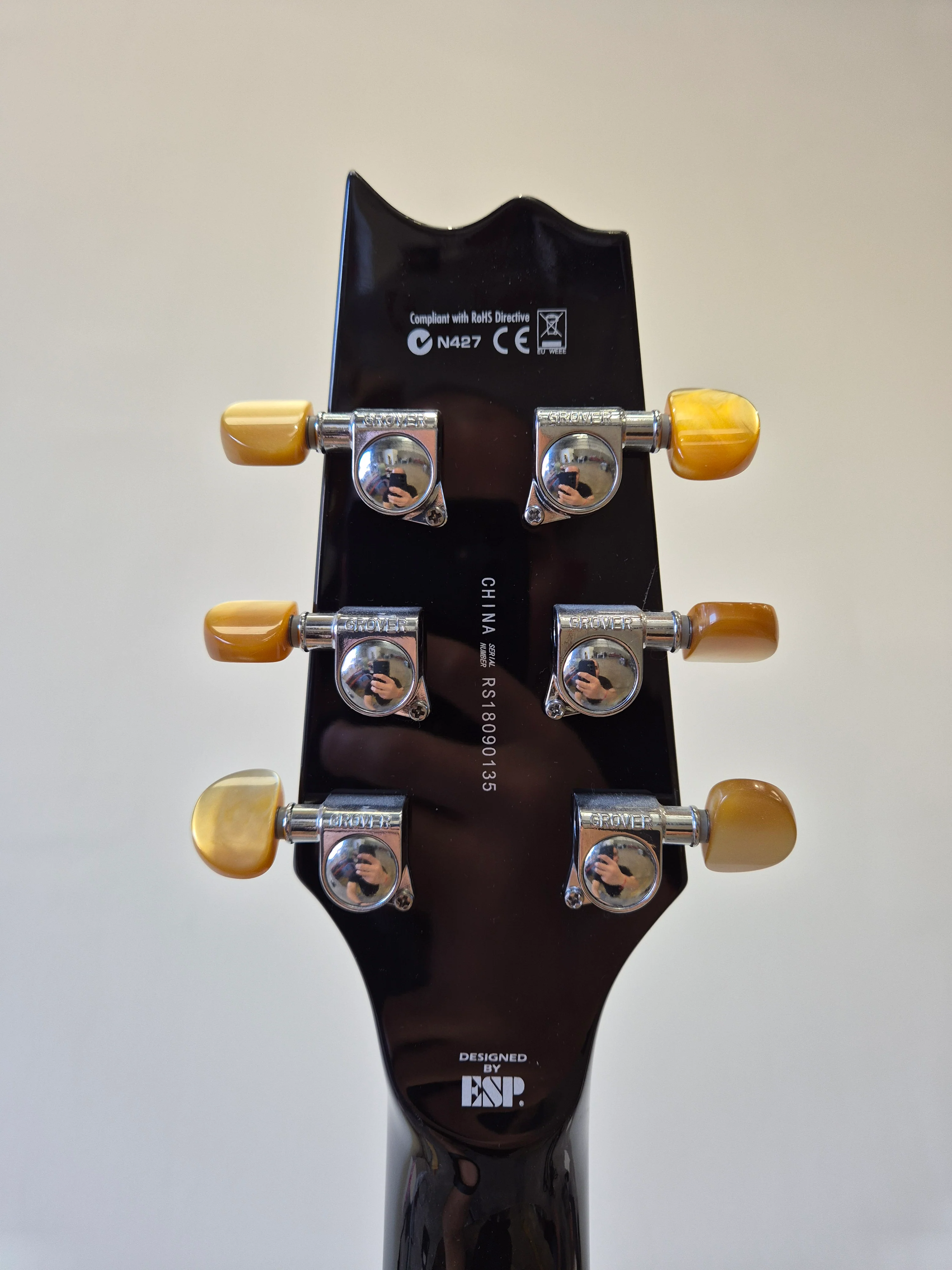 ESP LTD TL-6 - Acoustic-Electric Guitar - Image 5