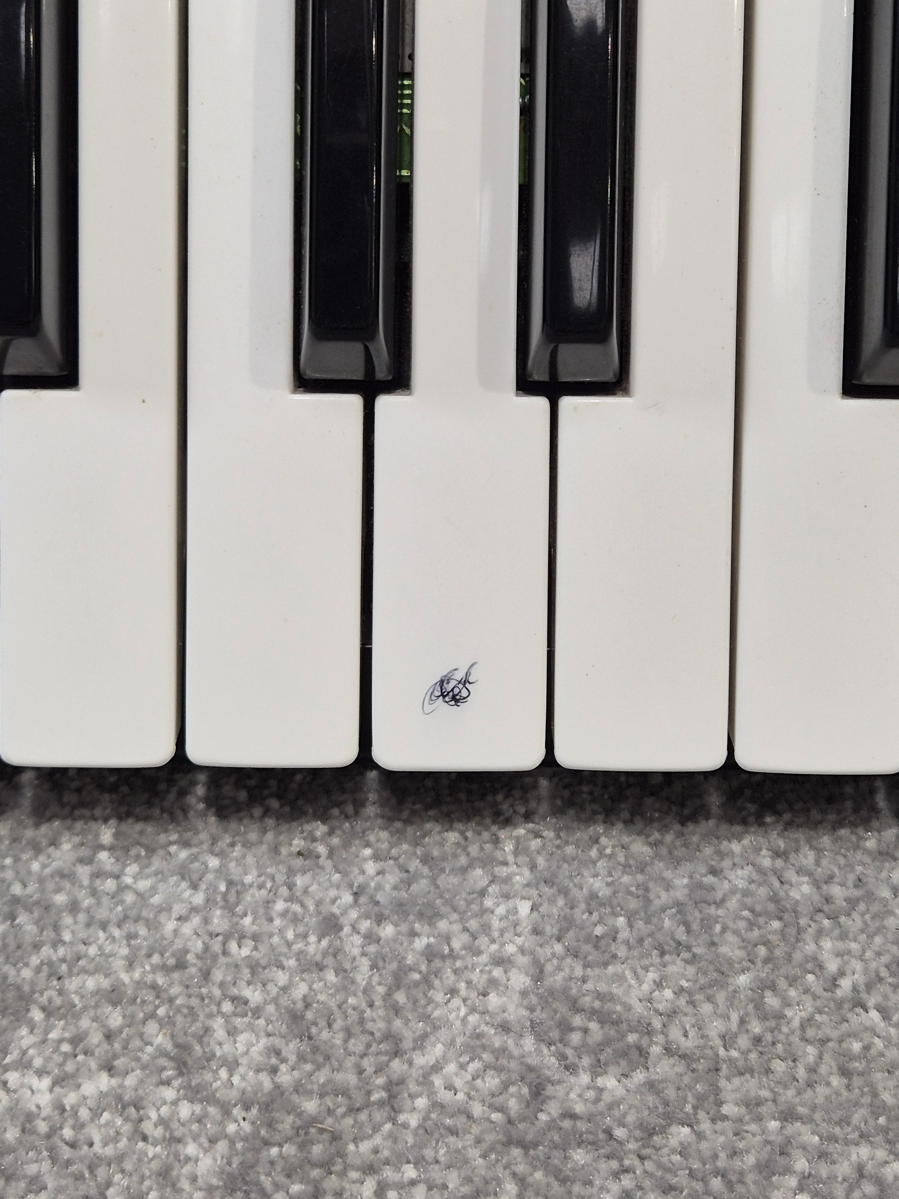 Nord Lead One Virtual Analog Synthesis Keyboard, 12 Voices - Excellent w/ Original Box - Image 5