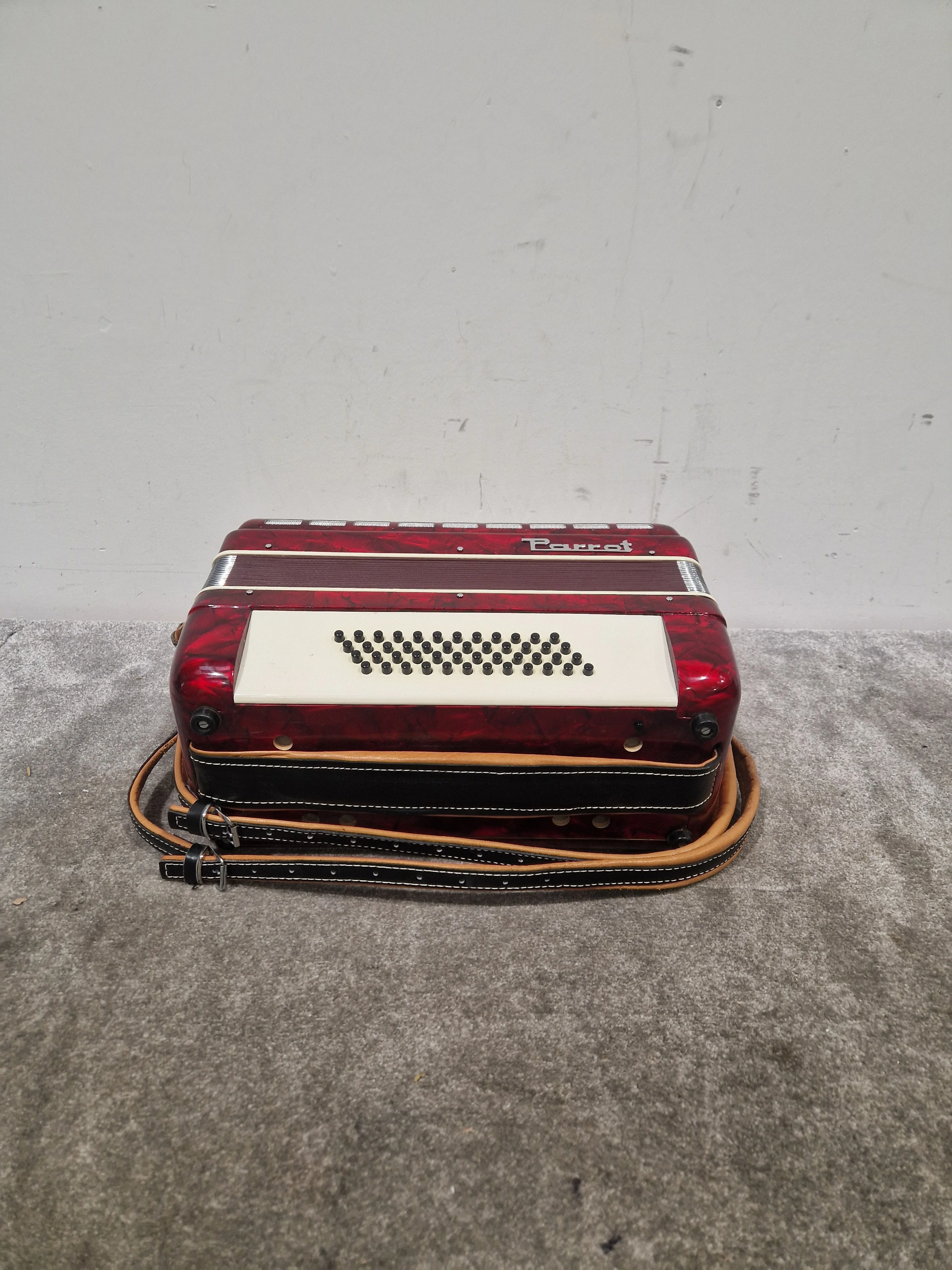 Parrot Accordion 1407 48 Bass 34 Key - Compact Design - Excellent w/ Hard Case - Image 13