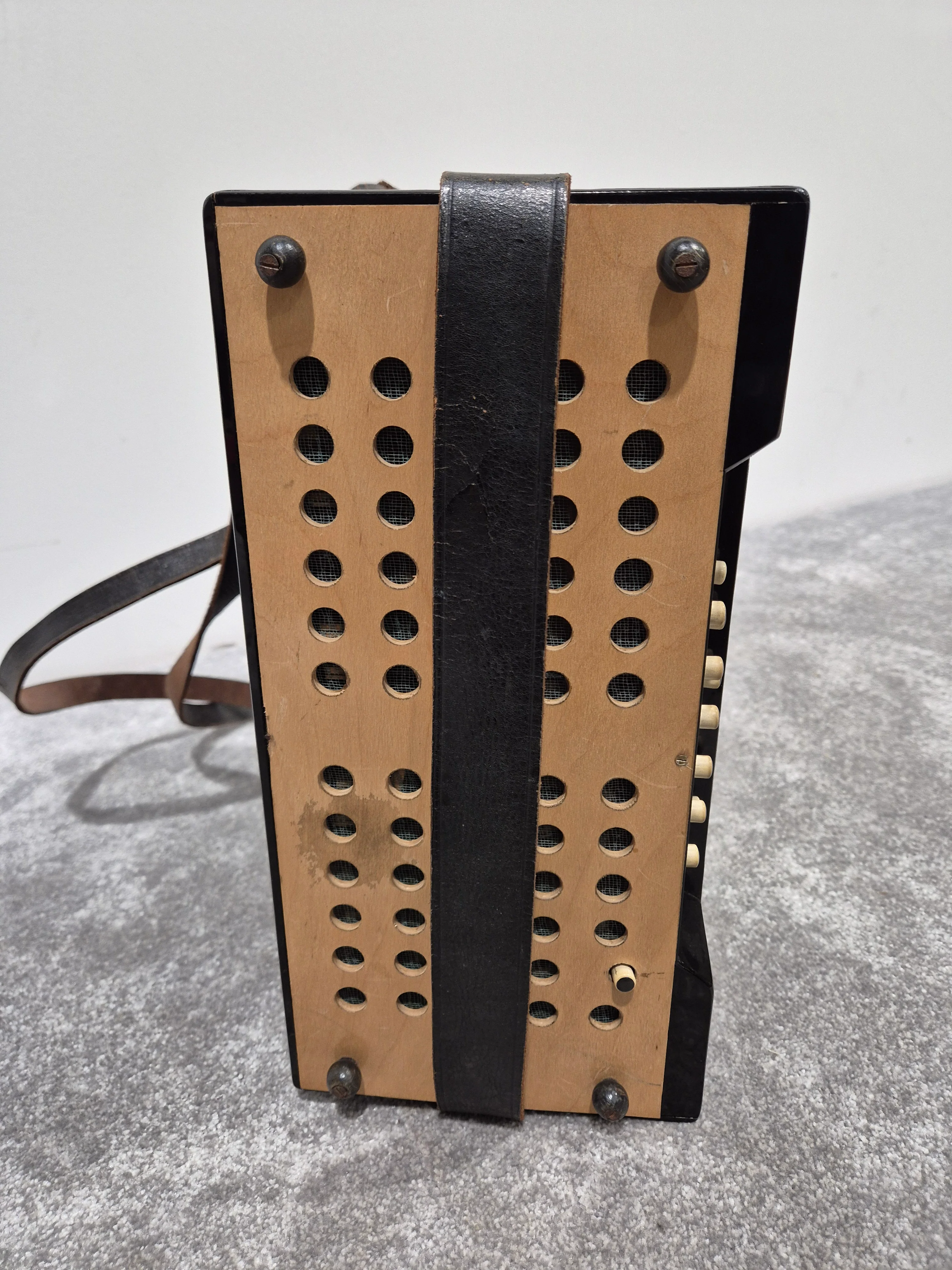 Pietro Accordion - Blue w/ HardCase - Image 4