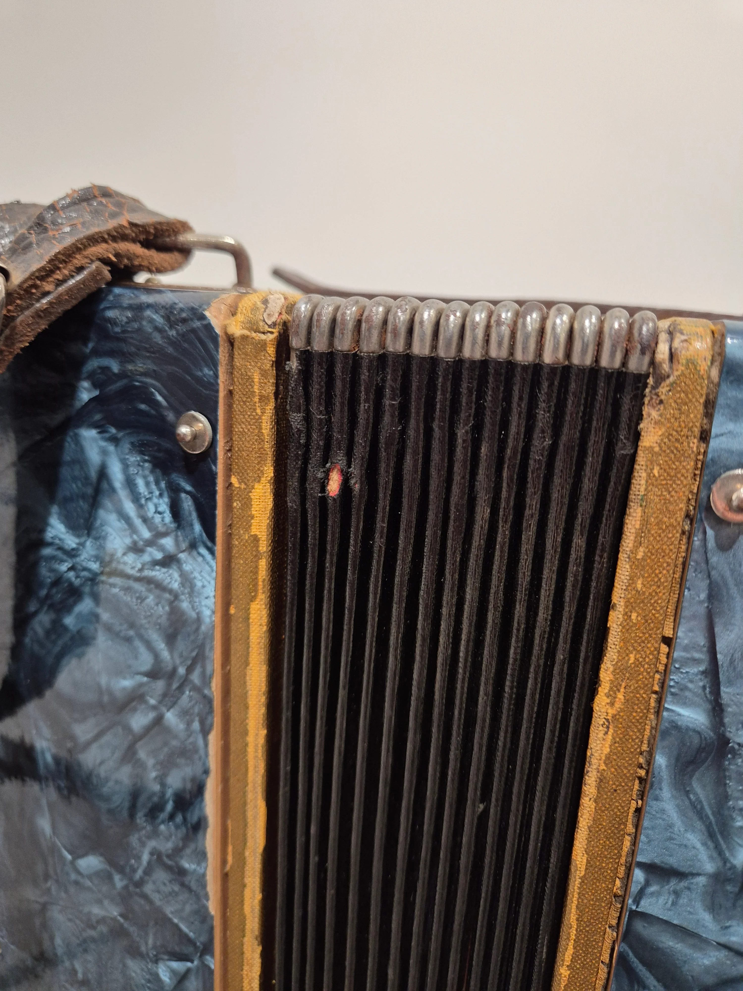 Pietro Accordion - Blue w/ HardCase - Image 5
