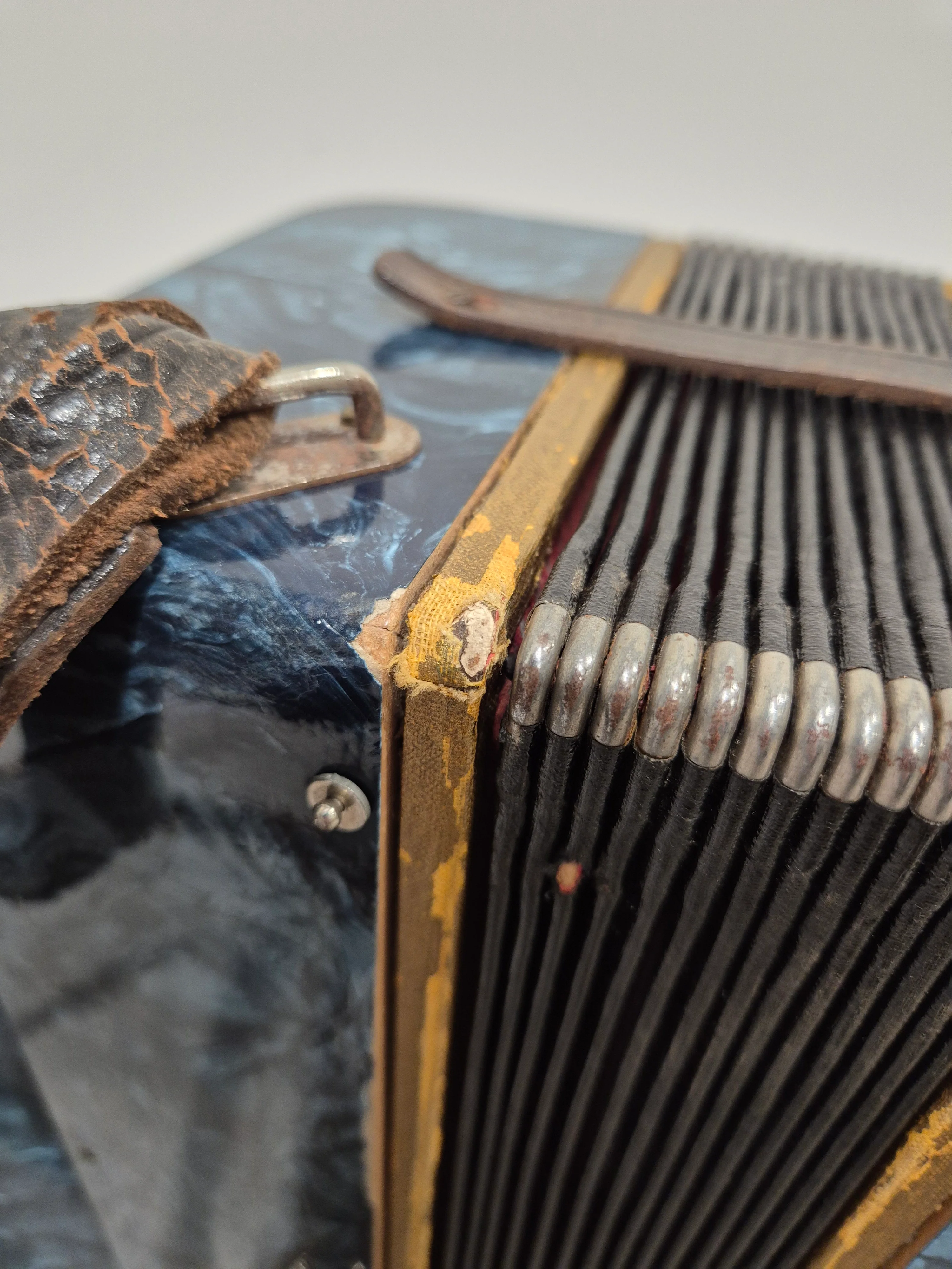 Pietro Accordion - Blue w/ HardCase - Image 6