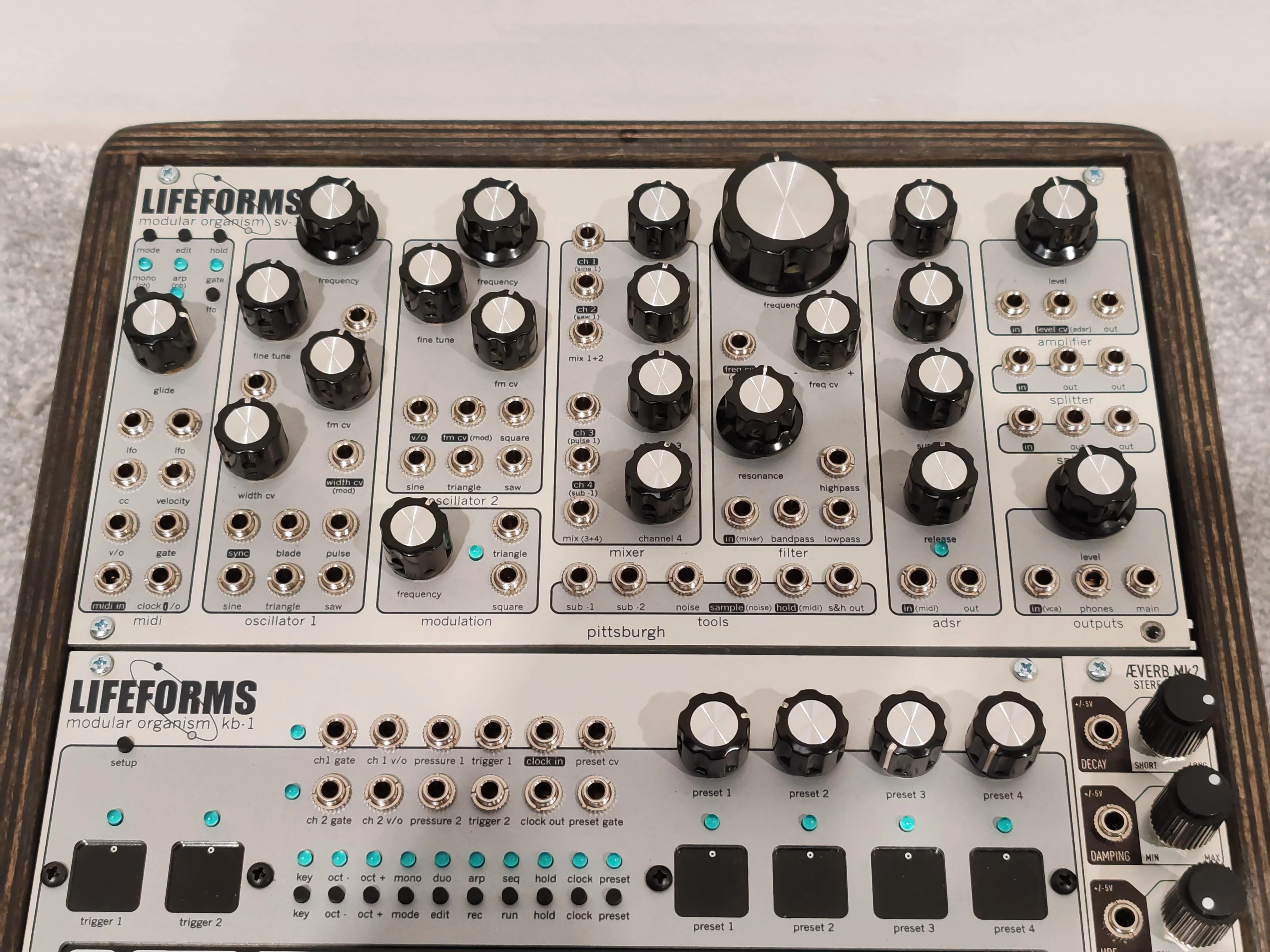 Pittsburgh Modular Lifeforms PX Deal Saturday Delivery - Image 4