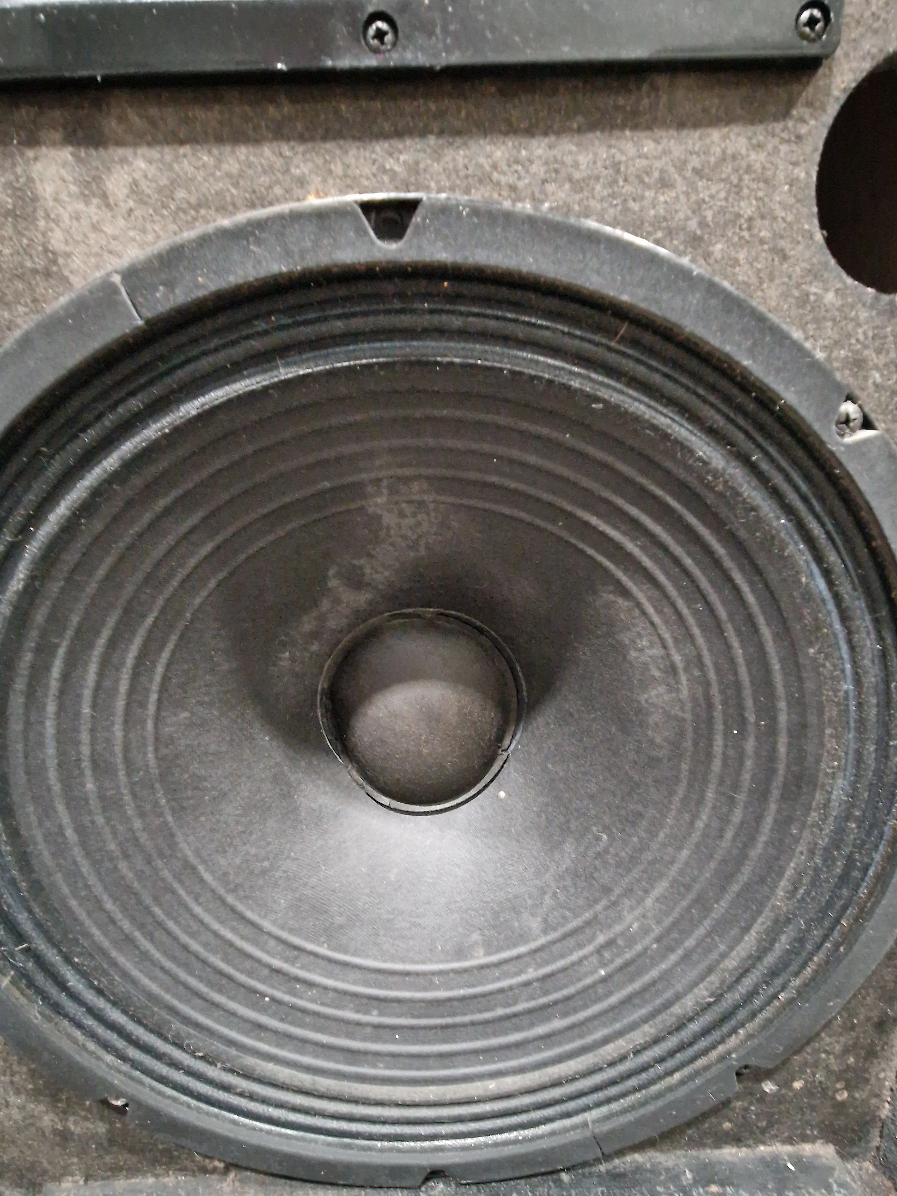 Proel SMT15P Passive Speaker - Fair - Image 3