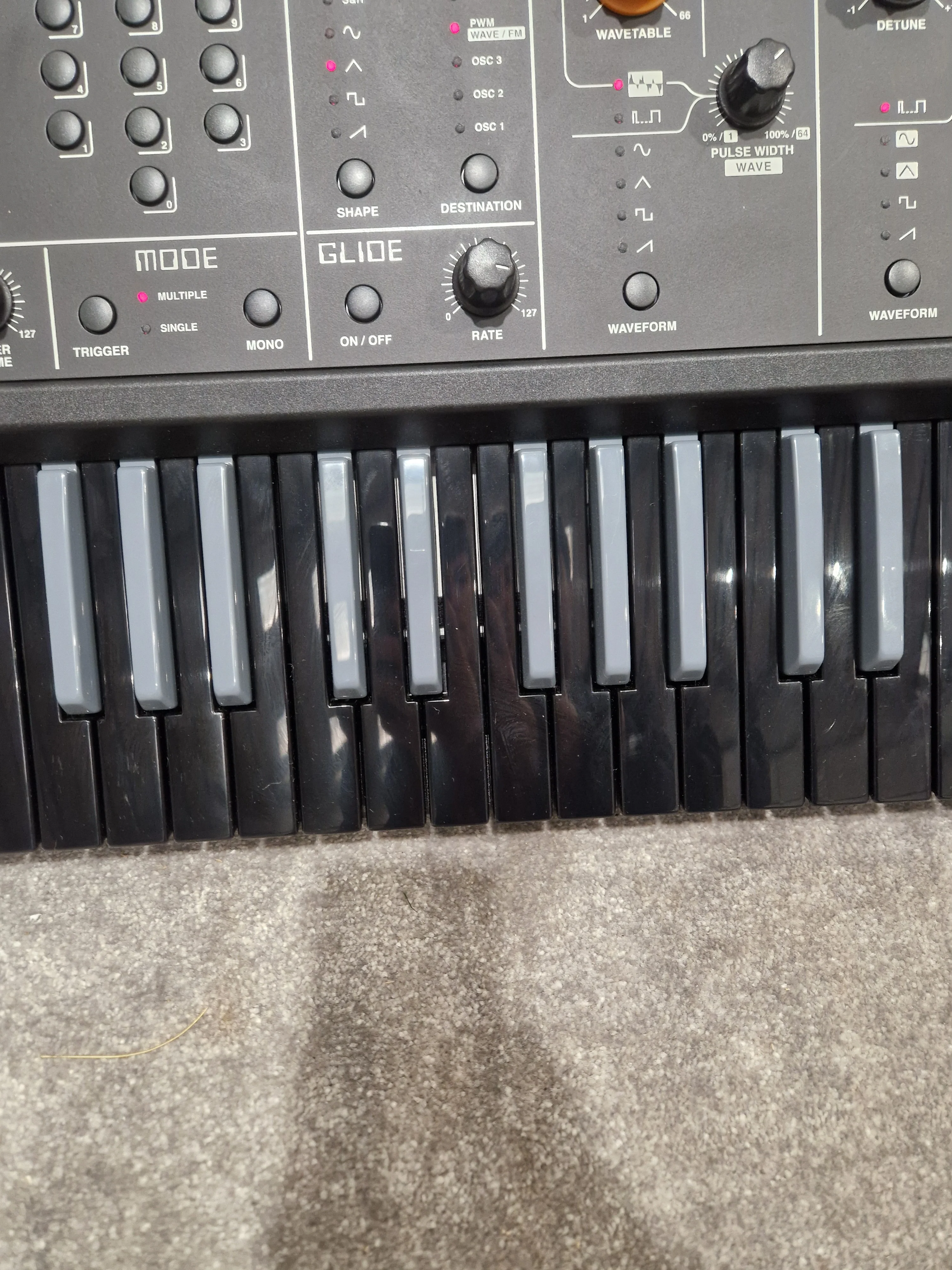 Studiologic Sledge - Synthesizer - Orange/Black - Excellent w/ Power cable - Image 8