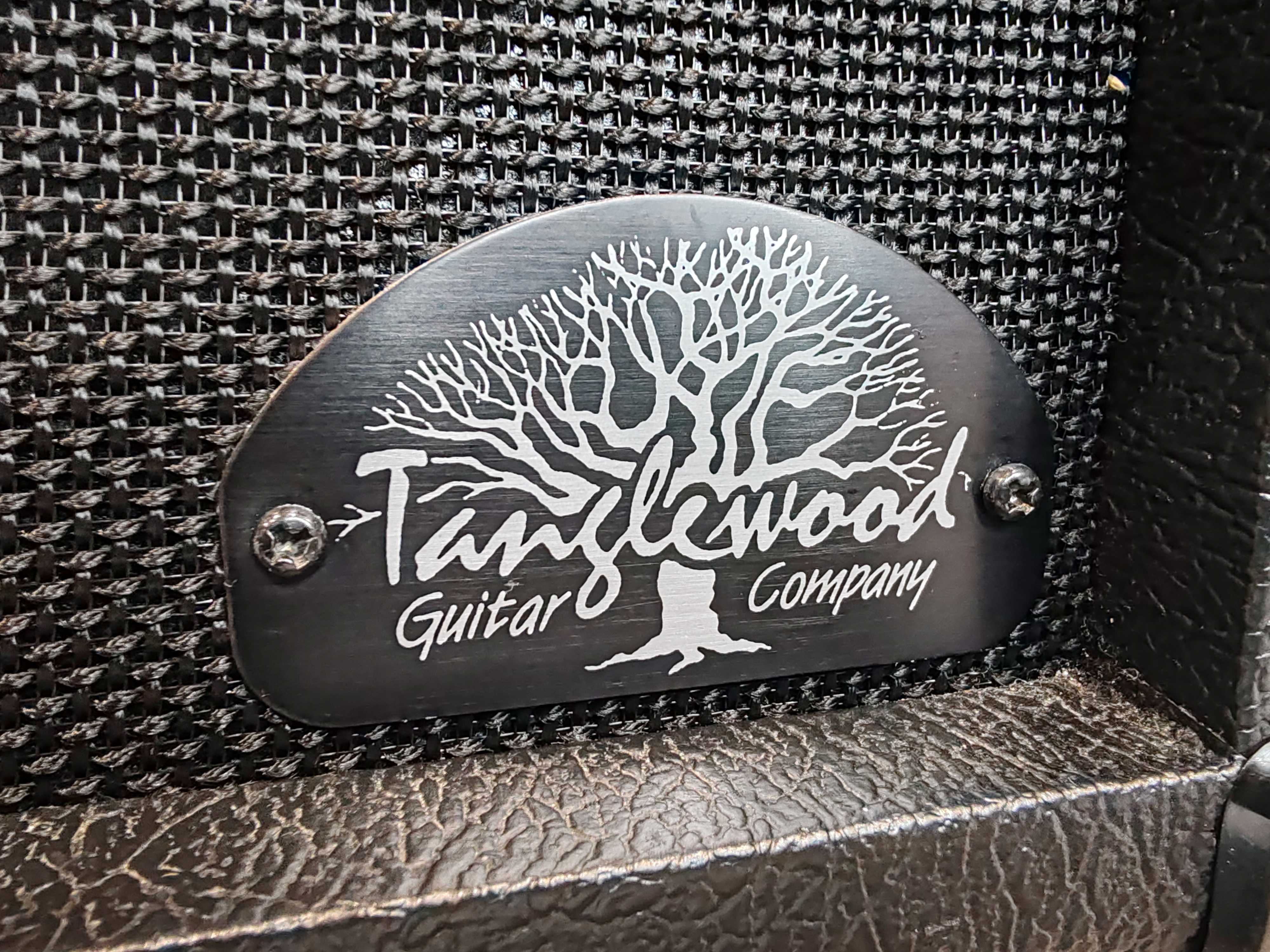 Tanglewood Guitar Company Electric Guitar Amplifier Model CG-10 - Image 8