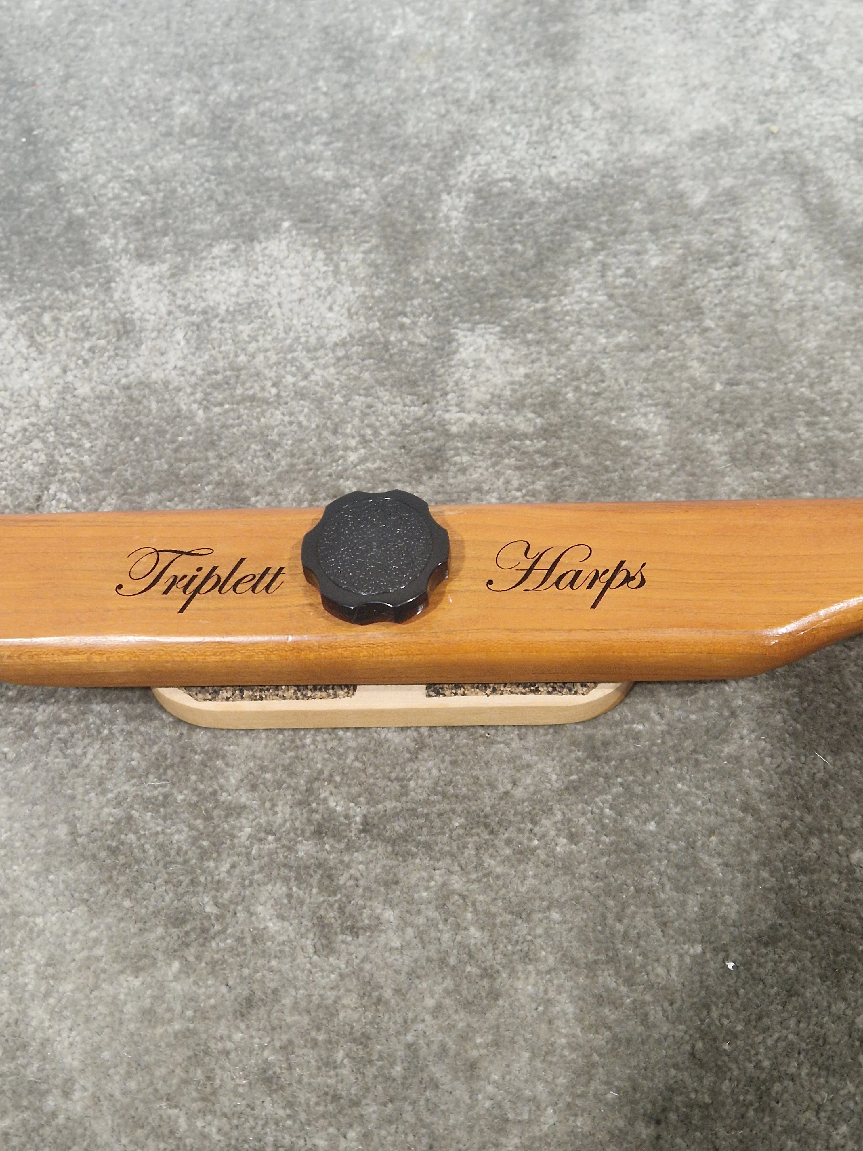 Triplett Christina 25 Therapy Harp S/N 05514 - Light System Installed - Excellent w/ Soft Case And Certification - Image 20