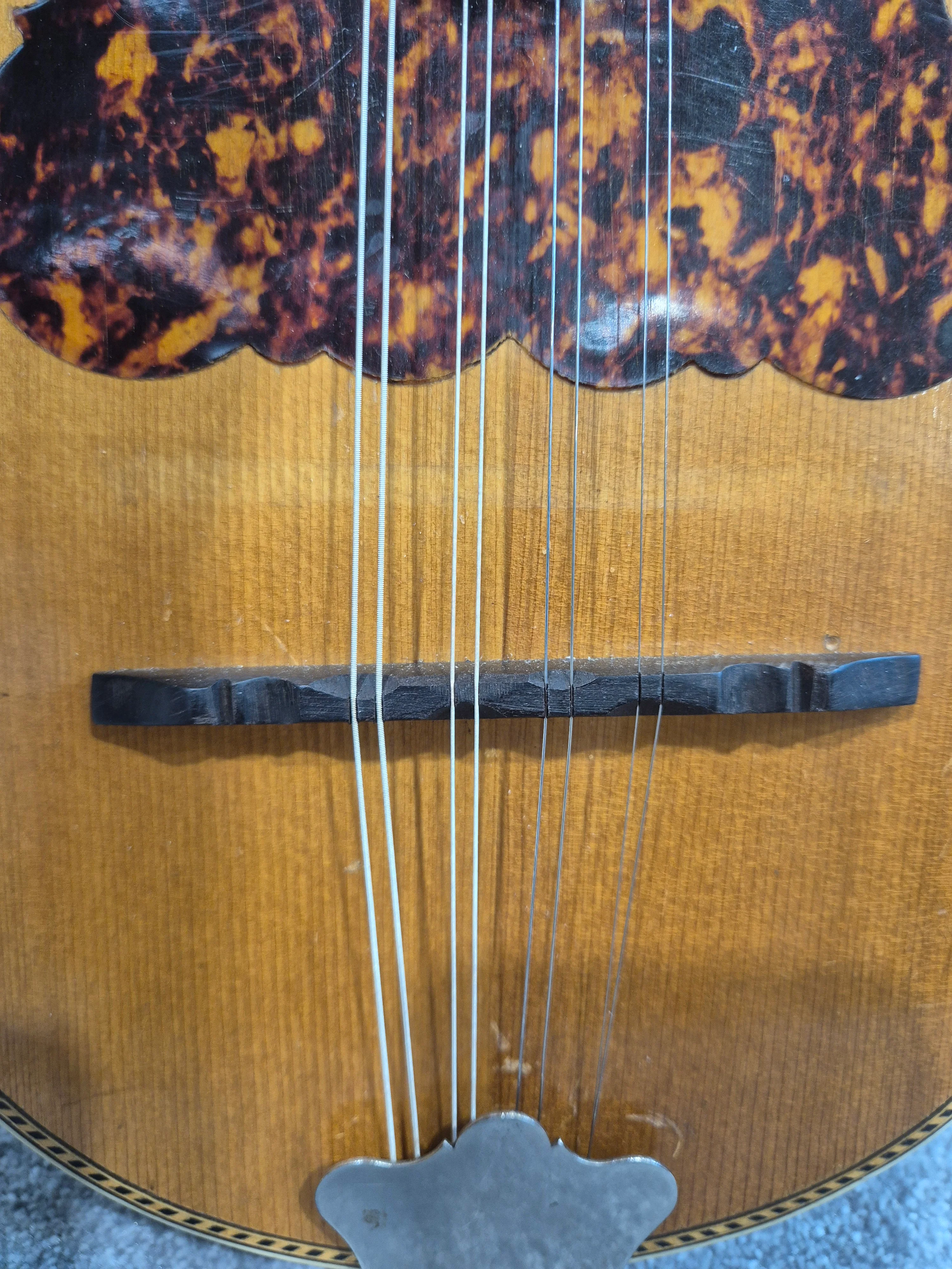 Washburn "Tater Bug" Mandolin - USA Vintage Antique - Image 12