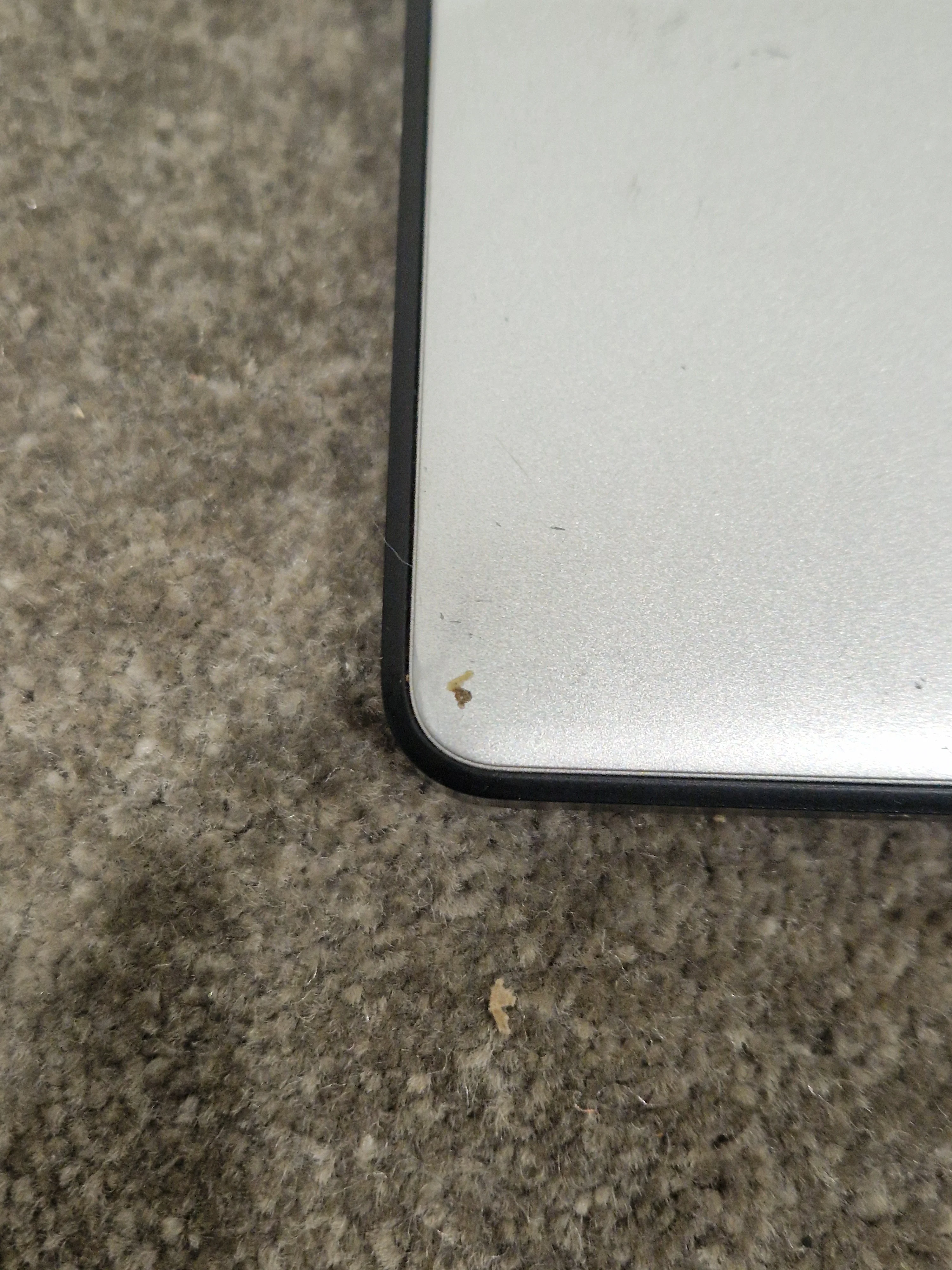 WD My Passport 1TB Silver - Good - Image 11
